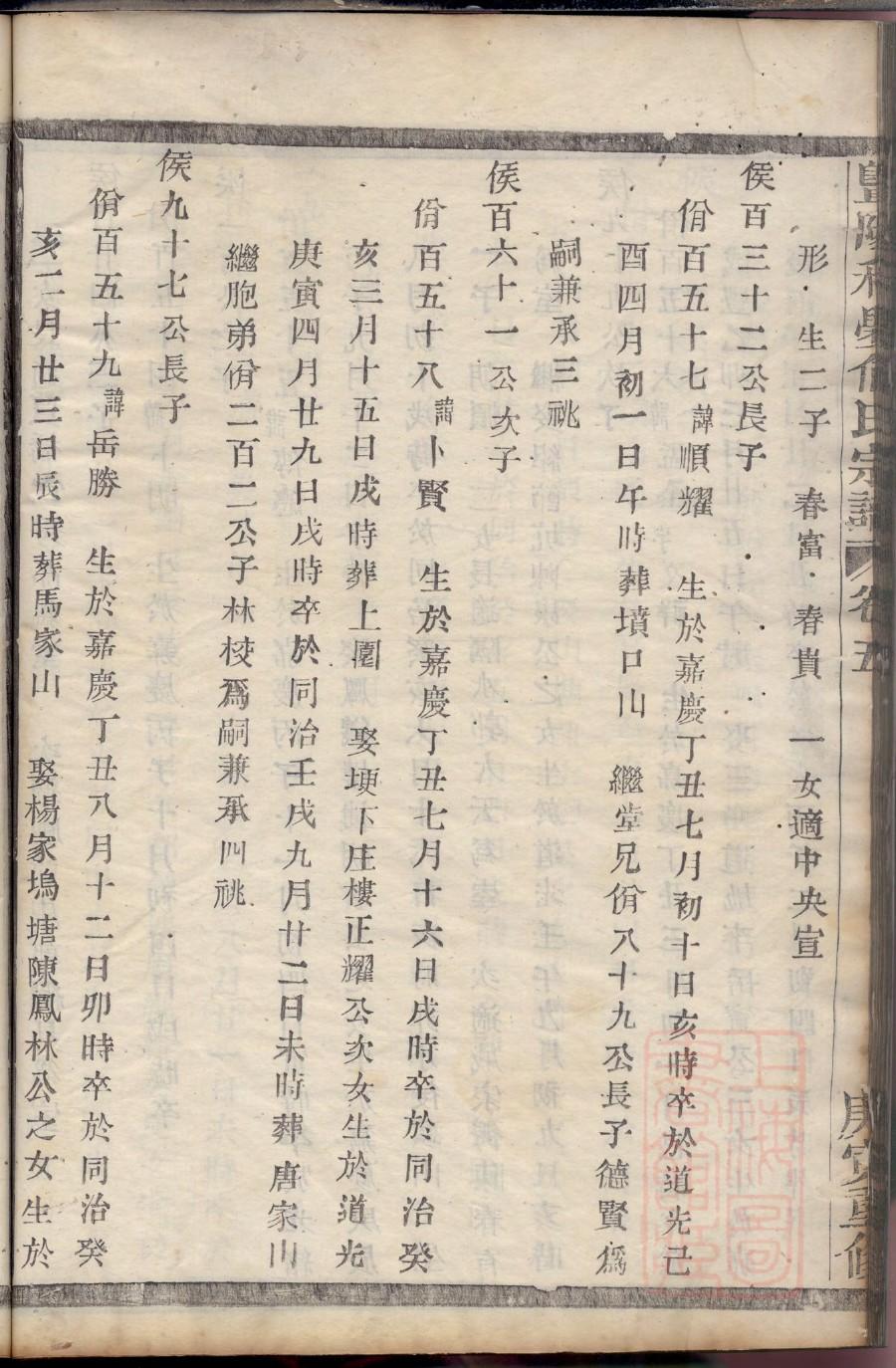 家谱纪念册前言