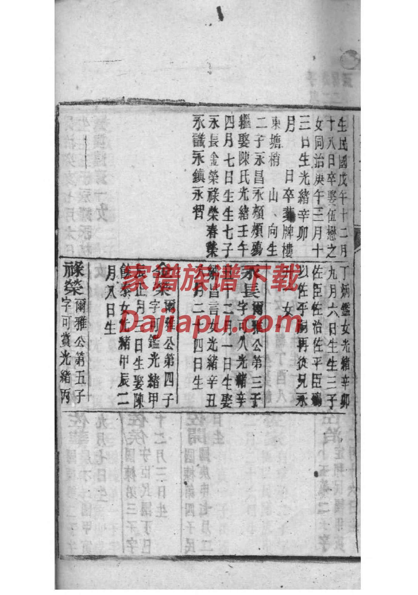 焦家家谱
