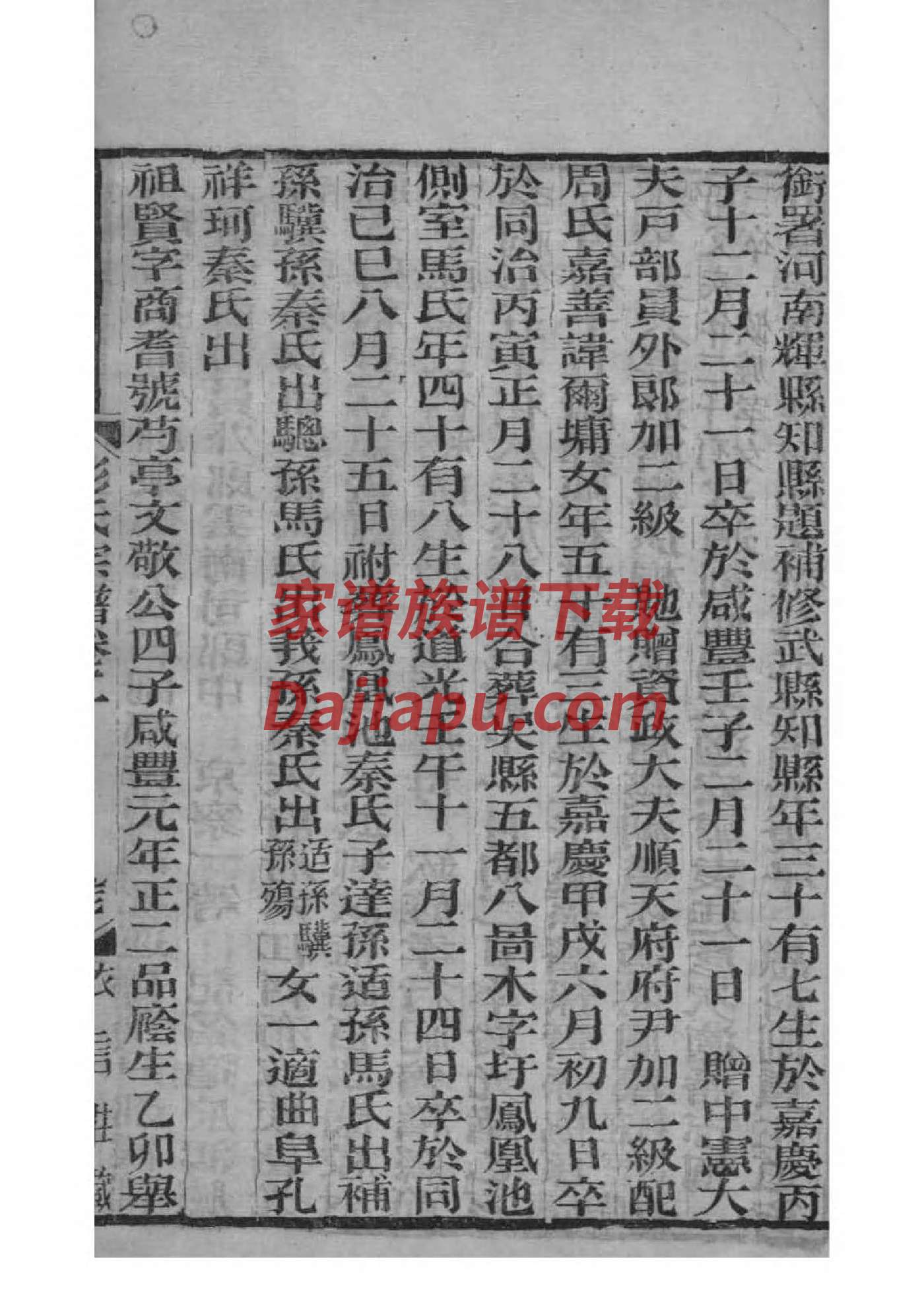 战氏族谱电子版下载阅读