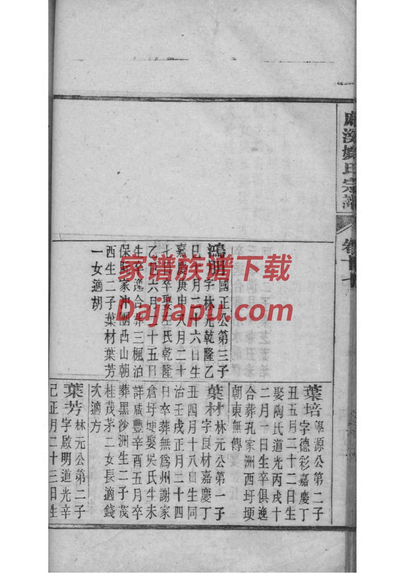 张家界楚氏家谱书