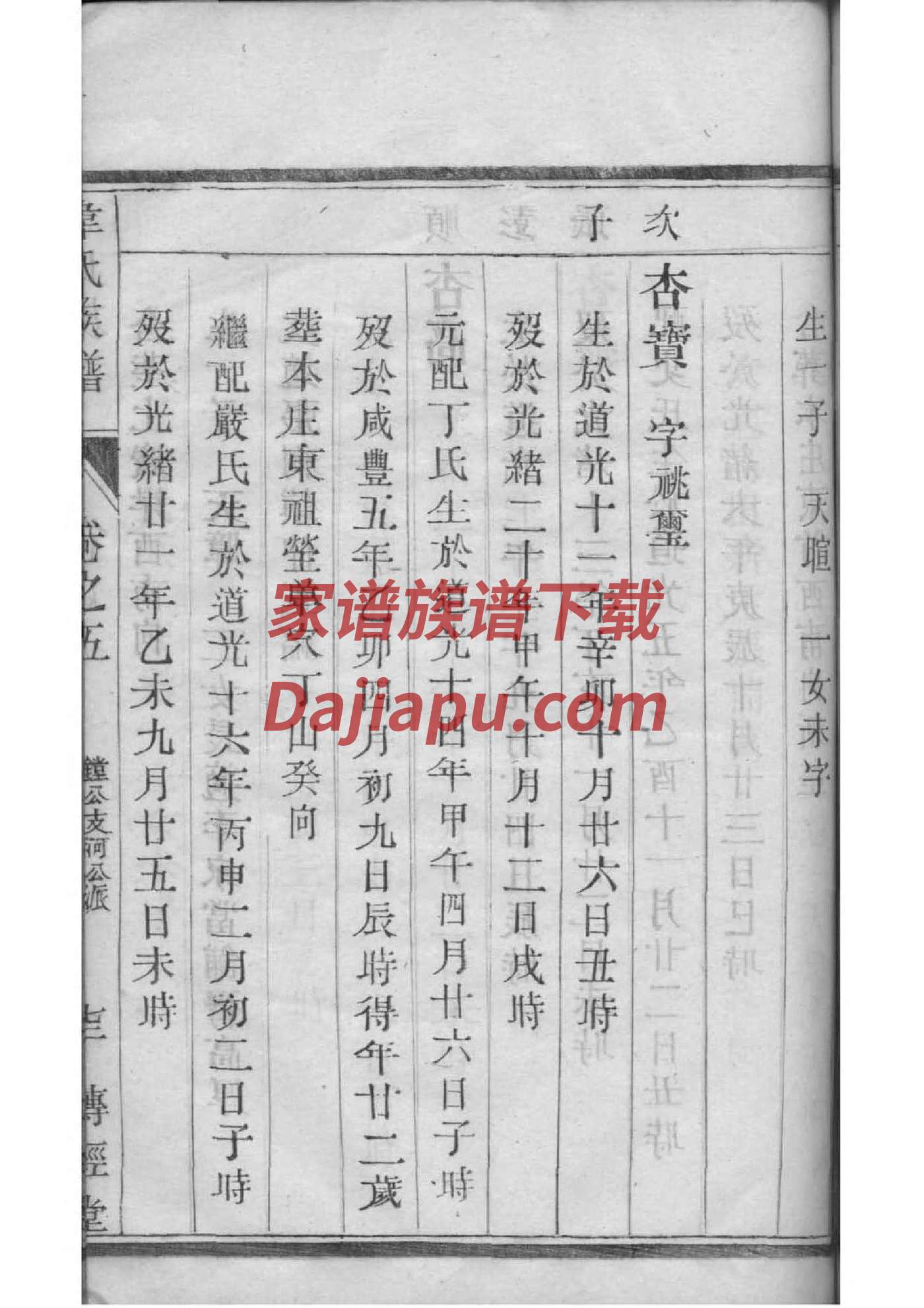 衡山王氏贵公房族谱