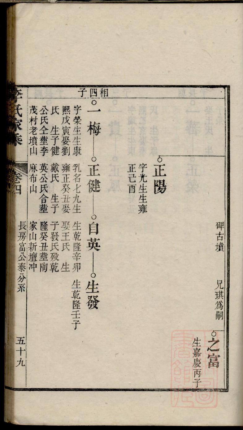 税姓族谱字辈排行