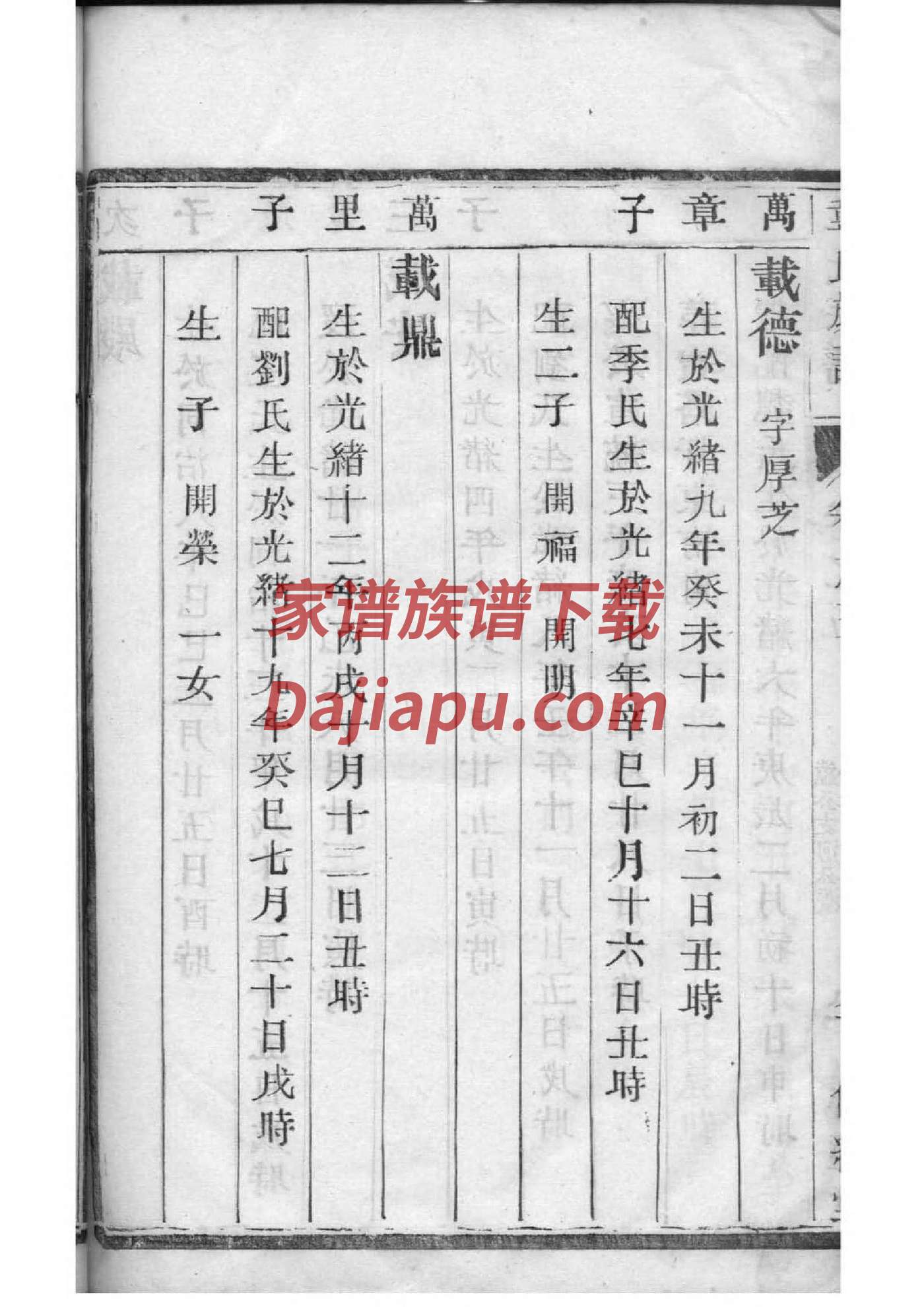 族谱查询的方法