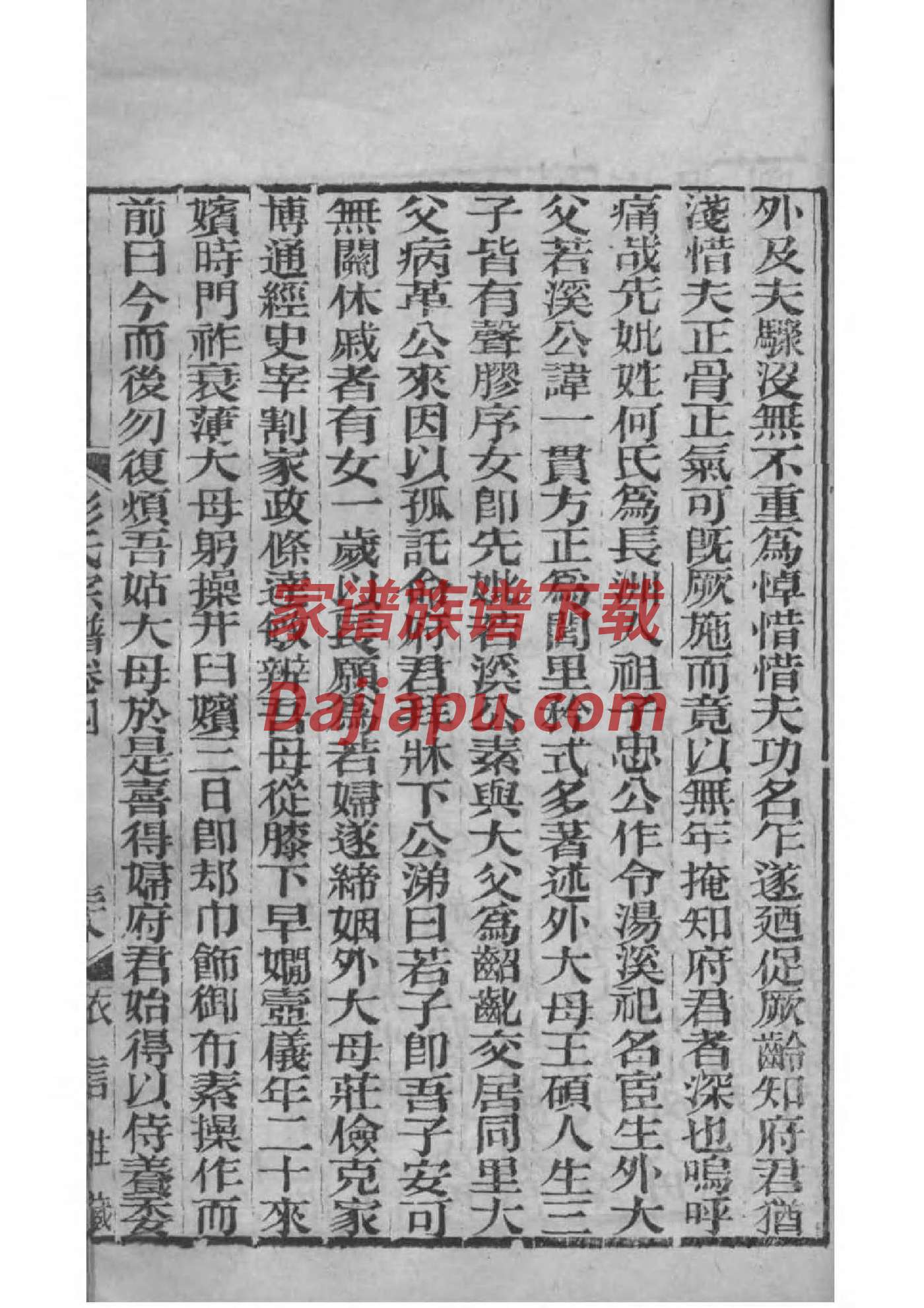 板姓族谱字辈排行