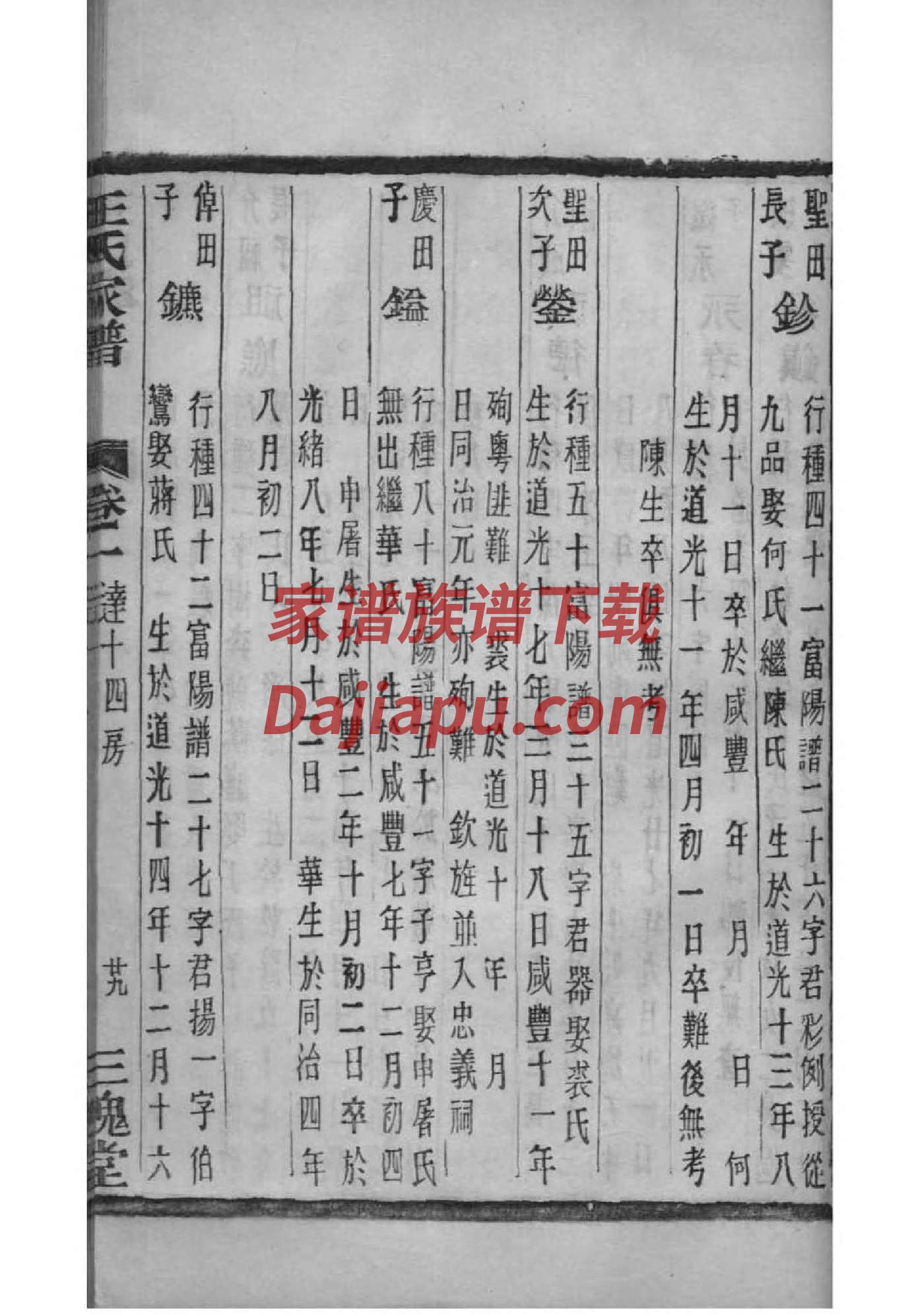 宗政姓辈分排行世系表