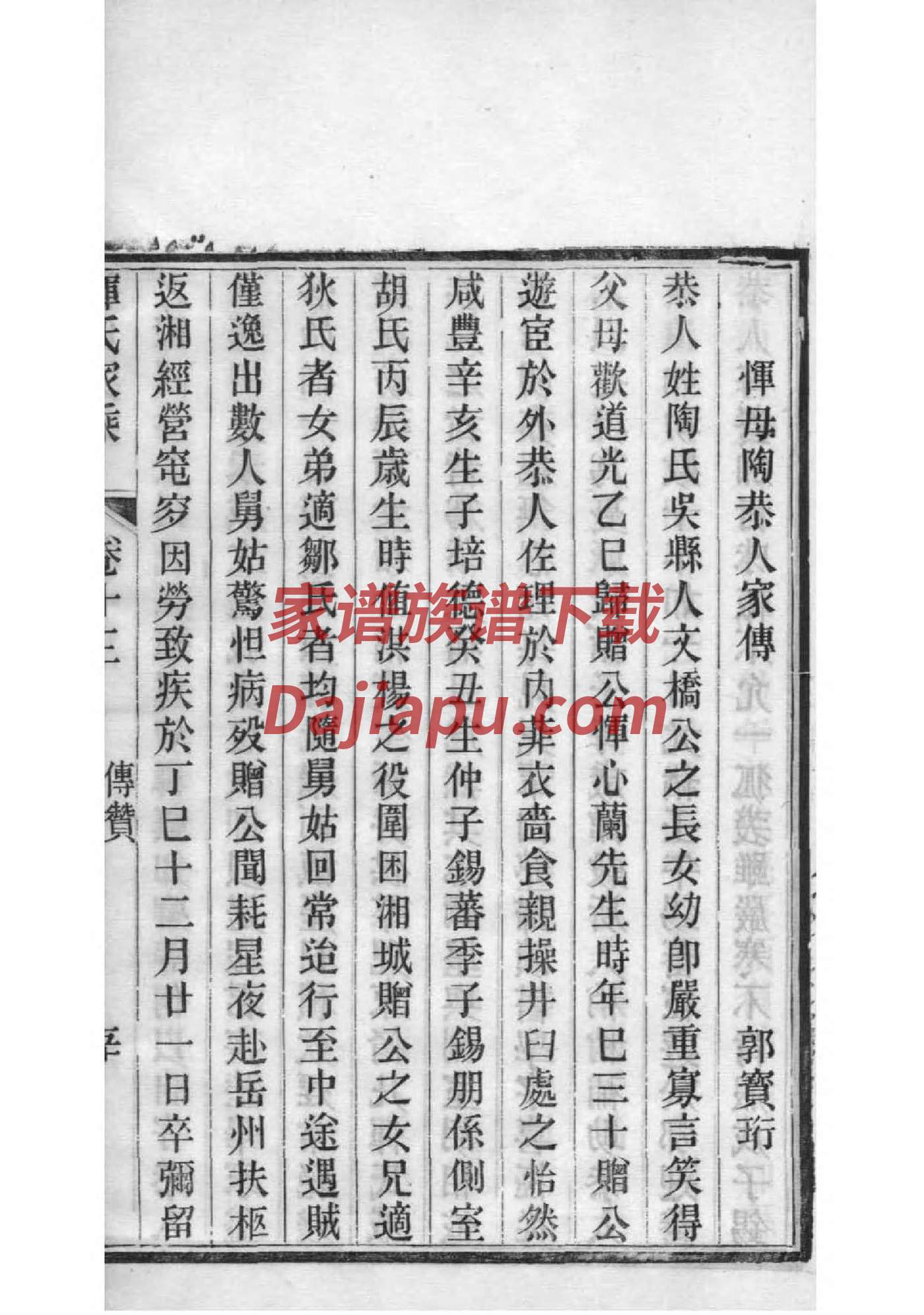 家谱软件教程