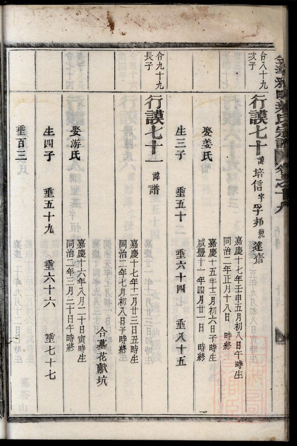 张氏族谱书