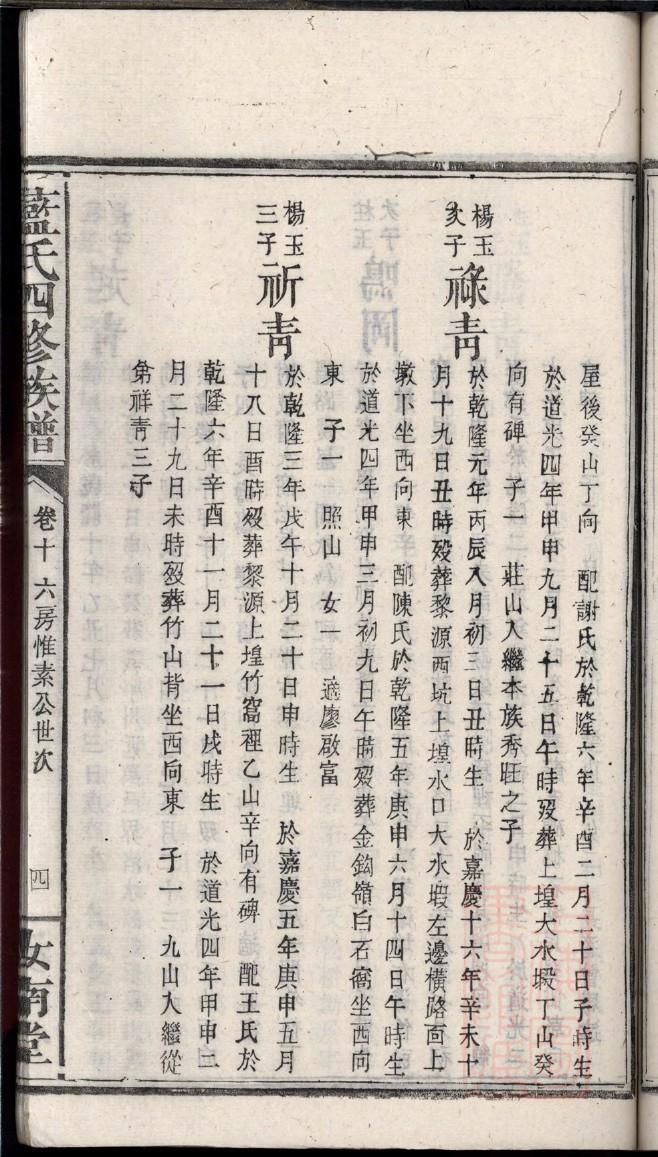 PPT怎么制作家谱图