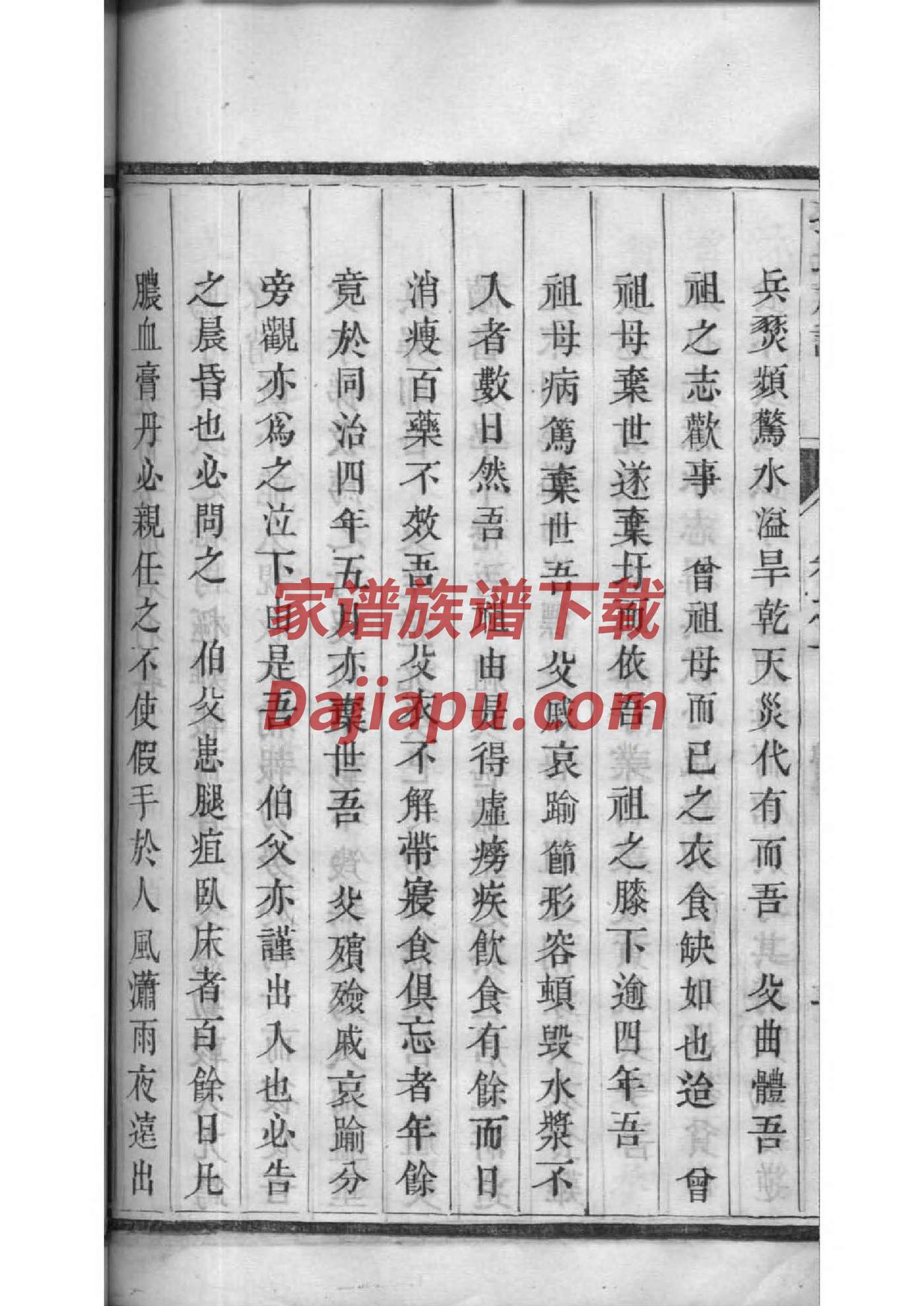 花姓族谱字辈