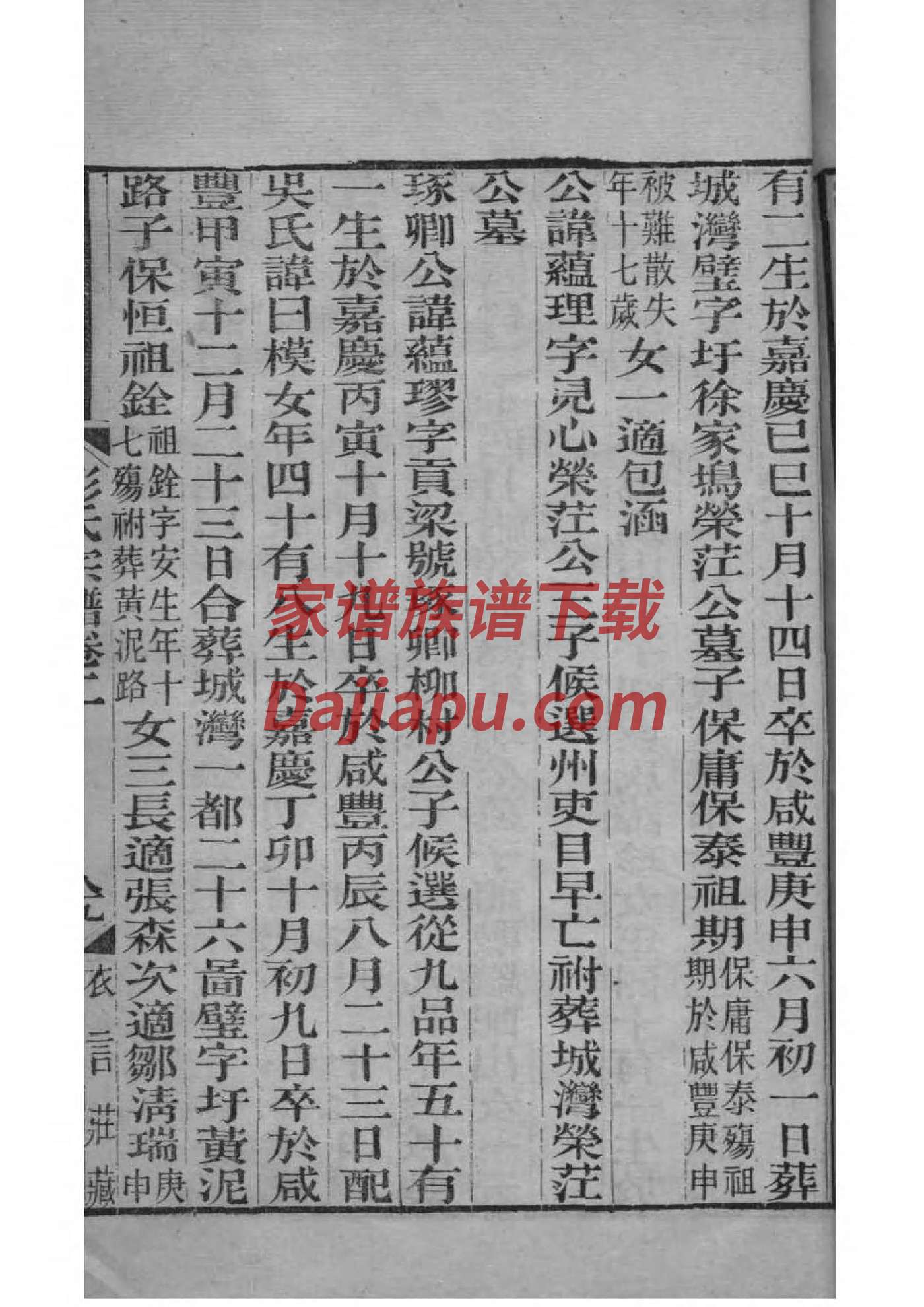 近代张家家谱