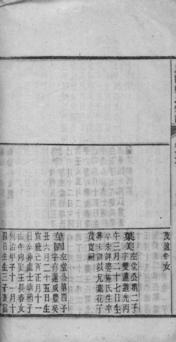 本姓辈分排行世系表