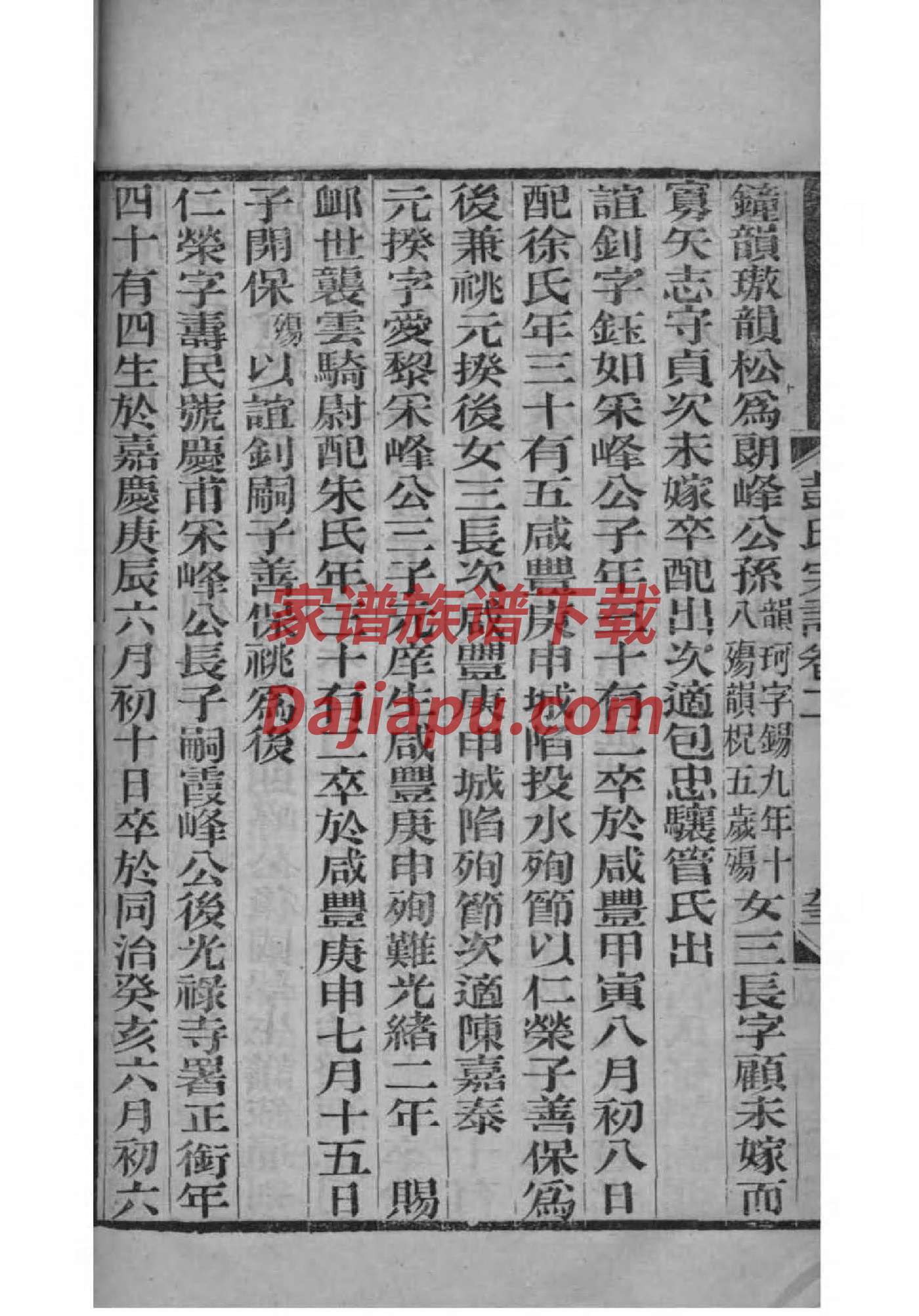 太源堂私家王氏家谱