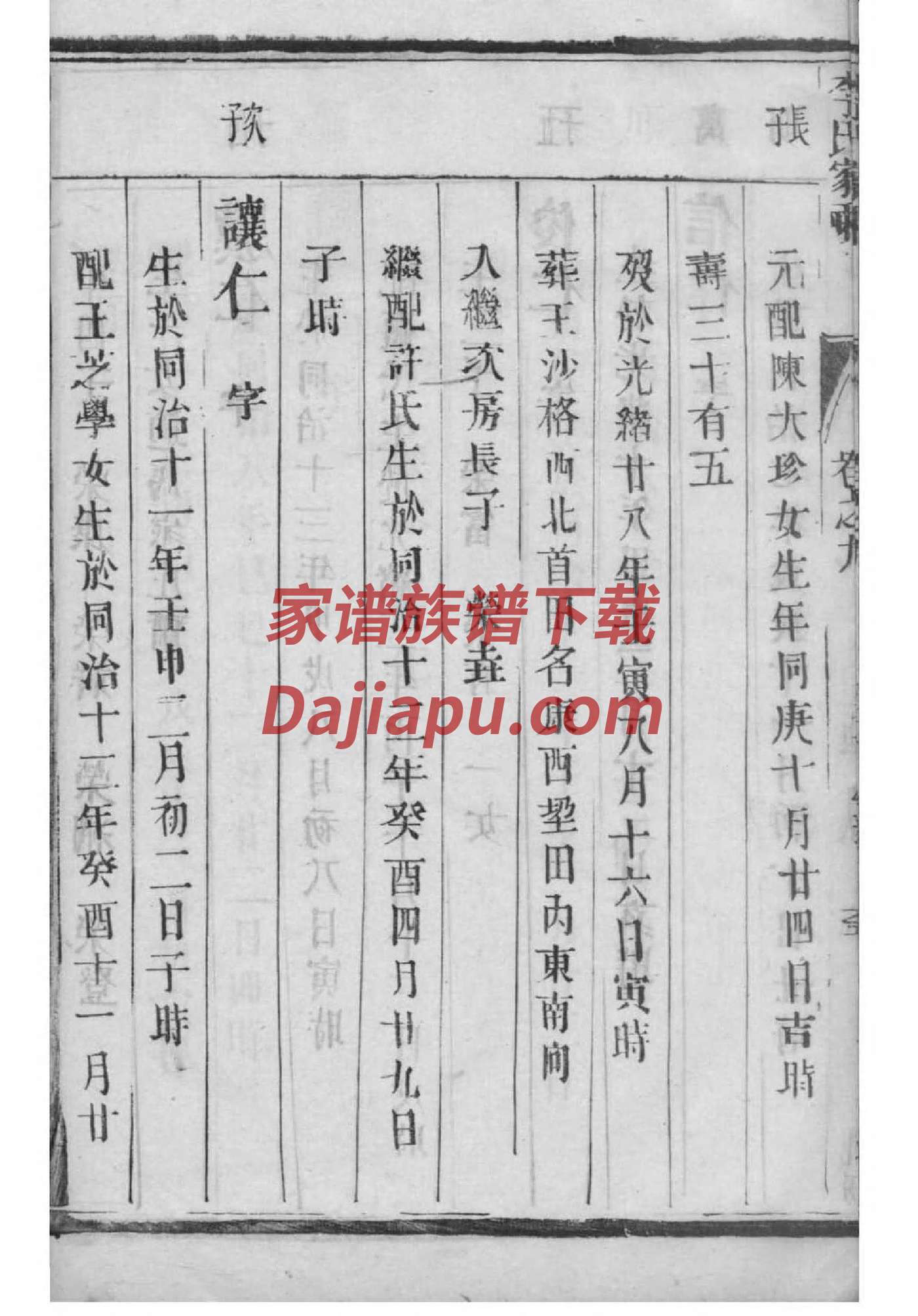 侨姓免费查自己家谱