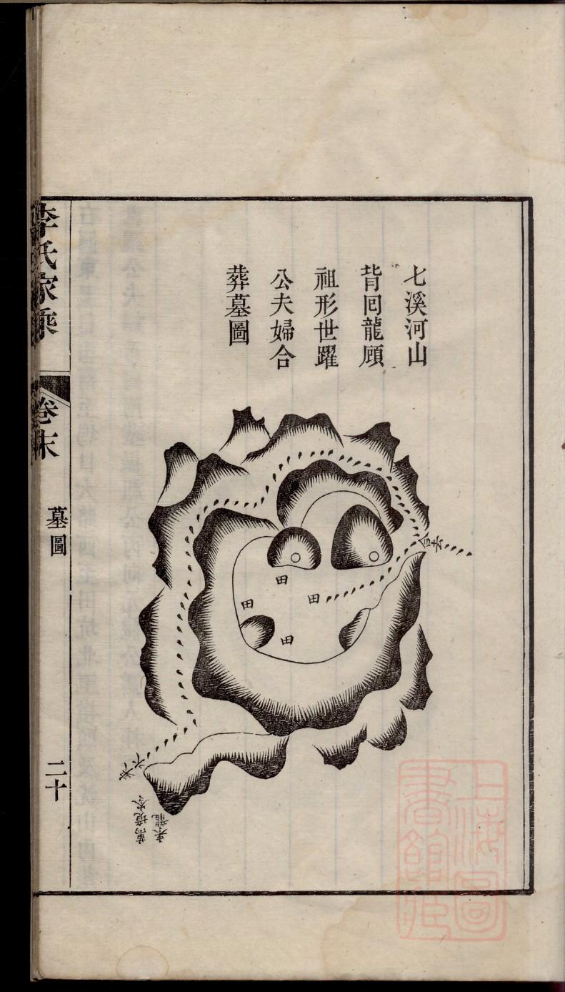 井氏的起源