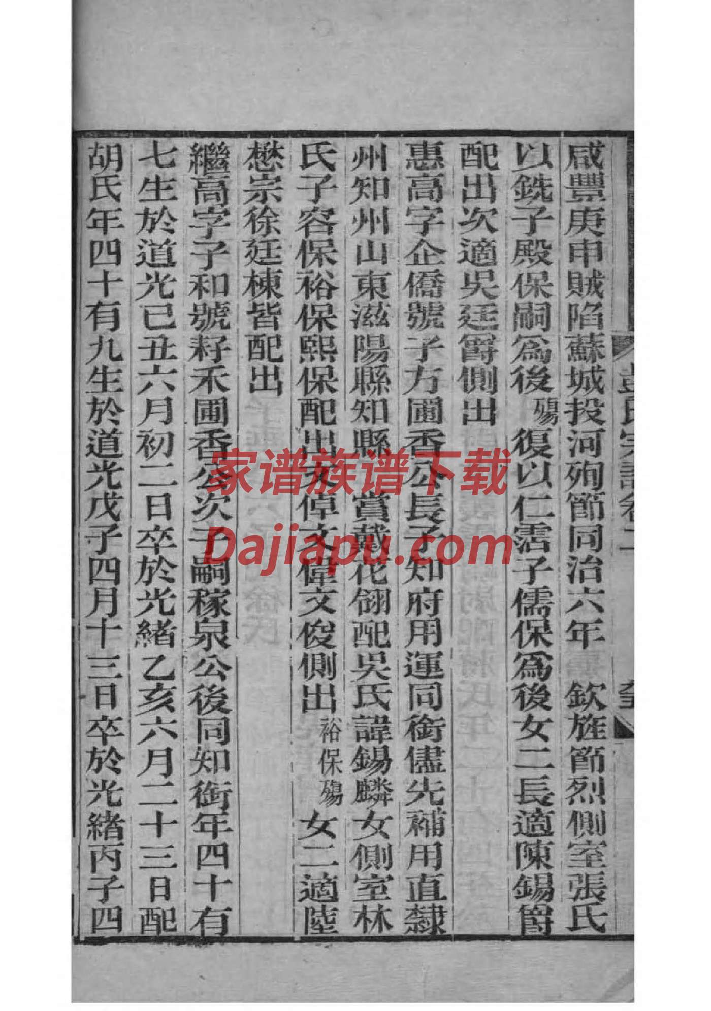 员氏族谱家谱