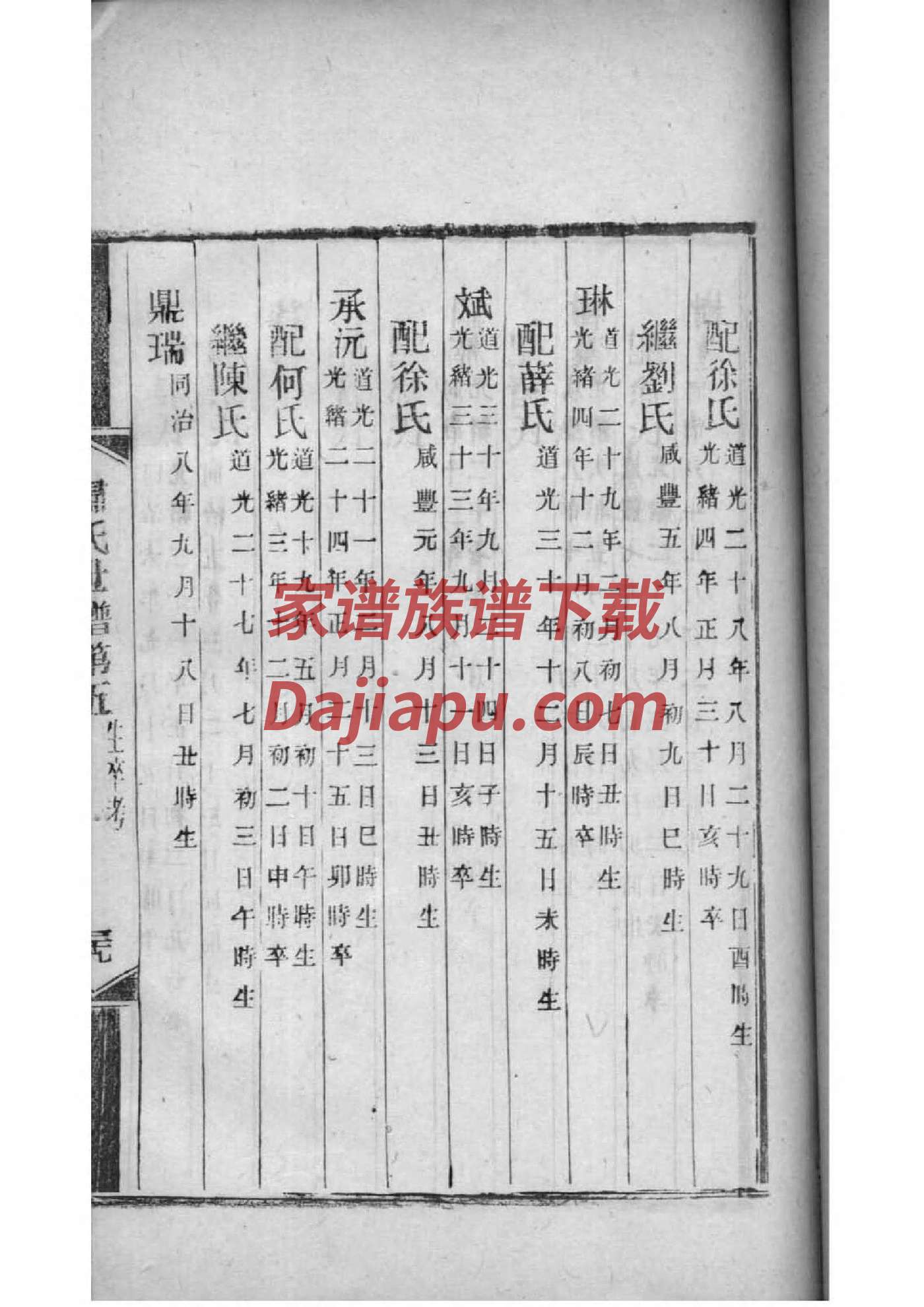 管氏家谱所有字辈查询