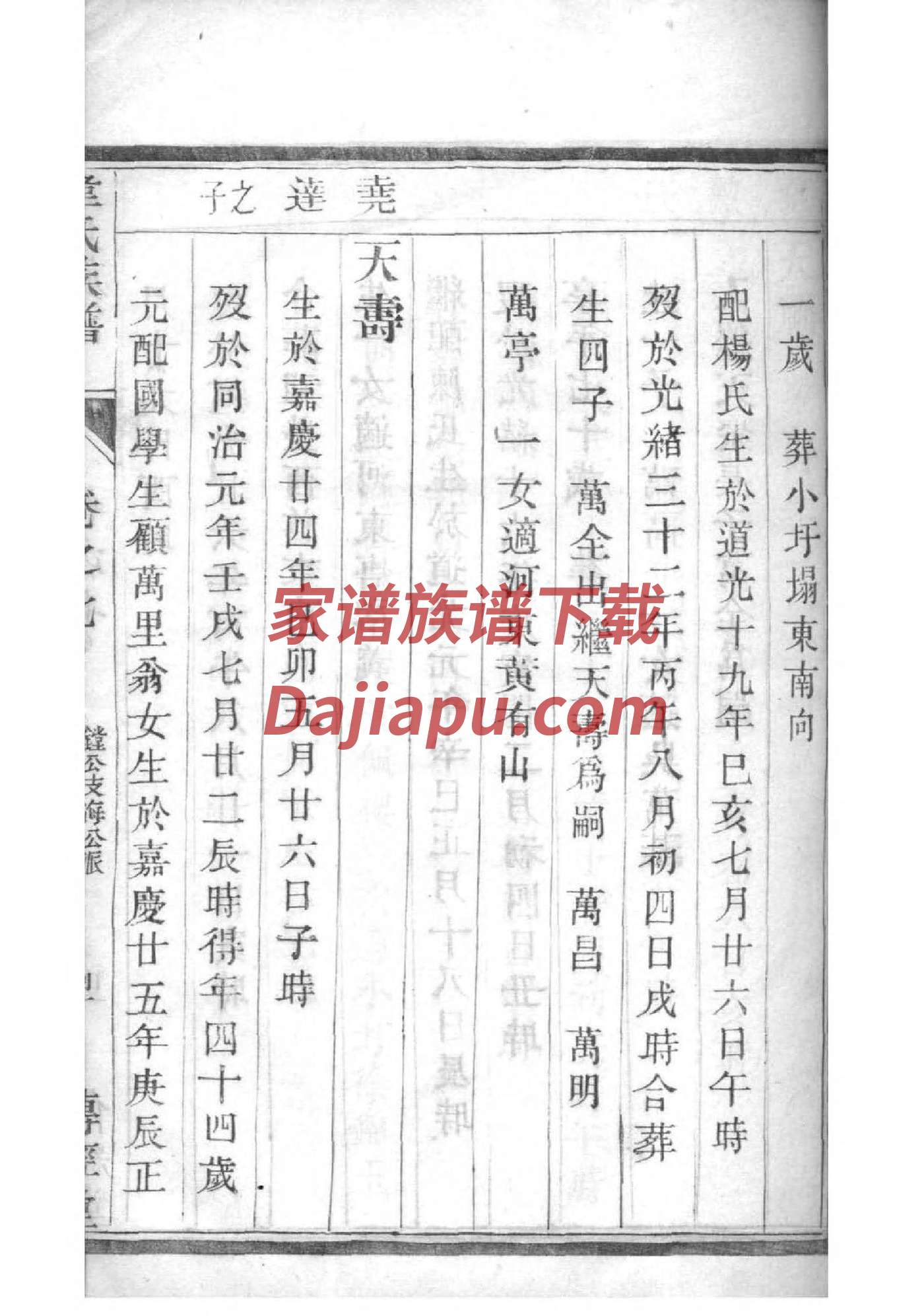 莘氏辈分排列顺序