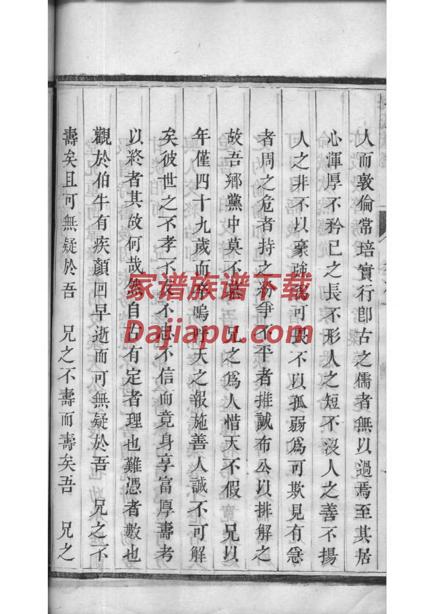 蒲氏族谱家谱