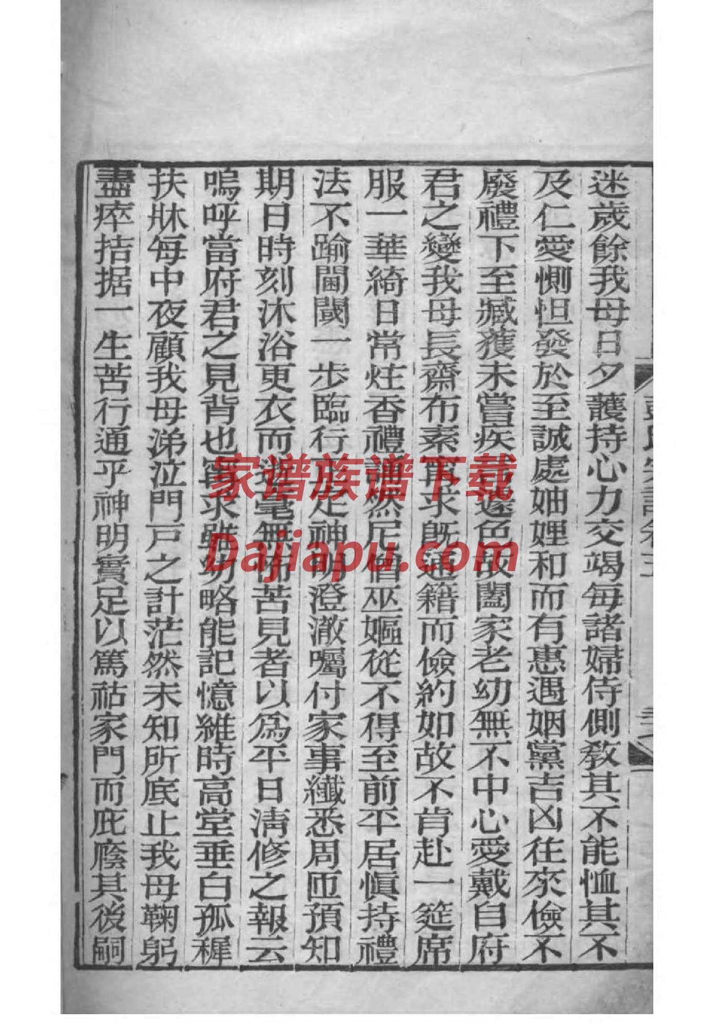 家族的家谱如何写