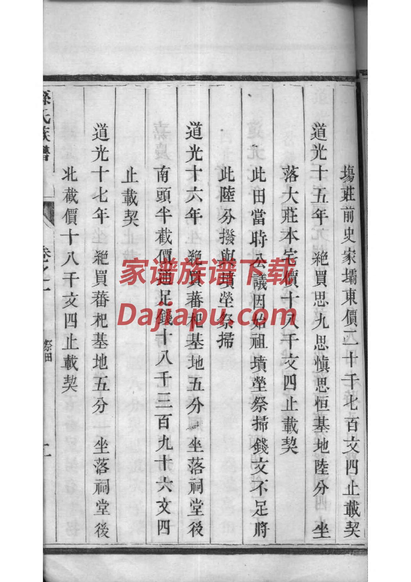 甲氏字辈介绍