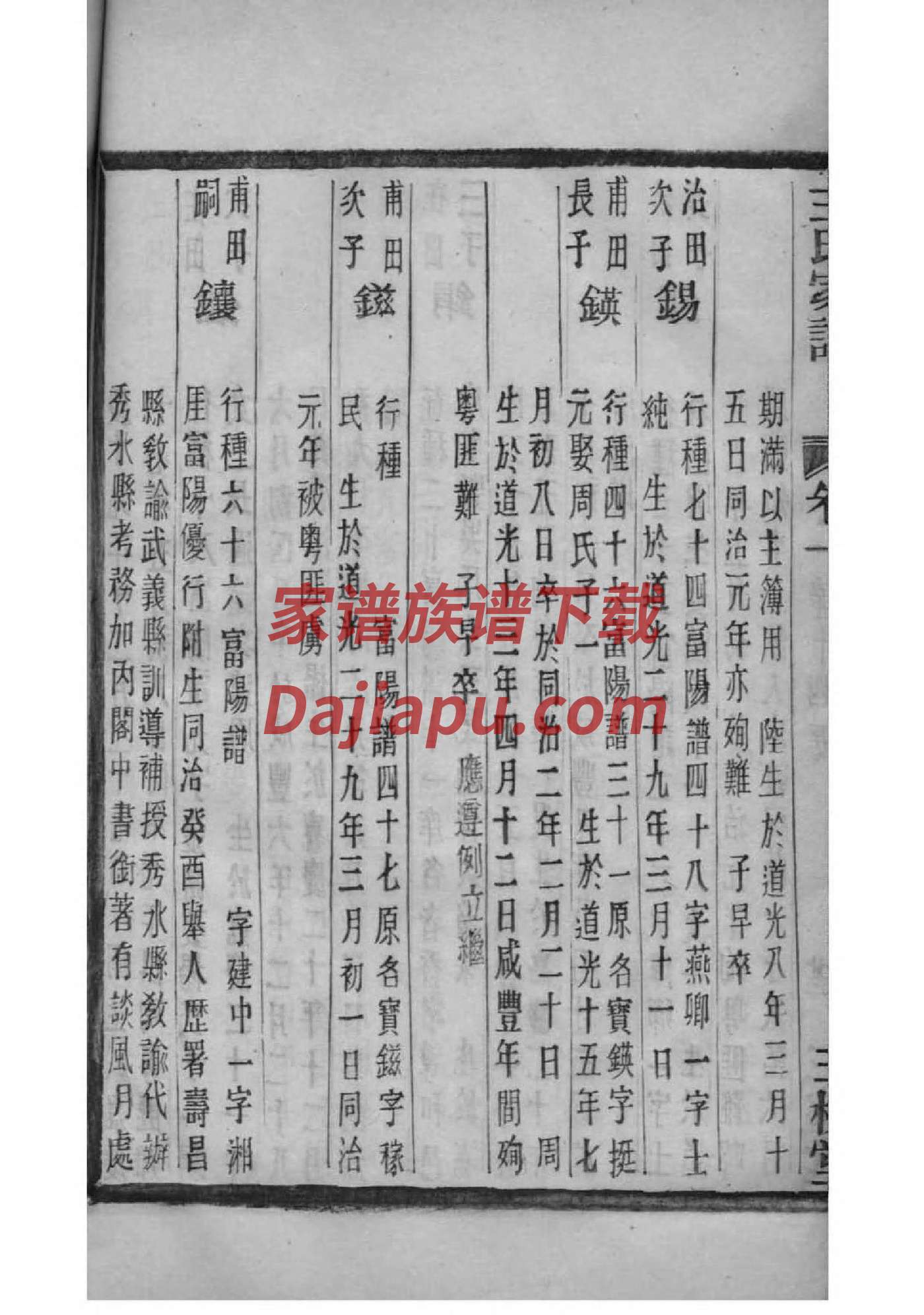 族谱字辈大排名