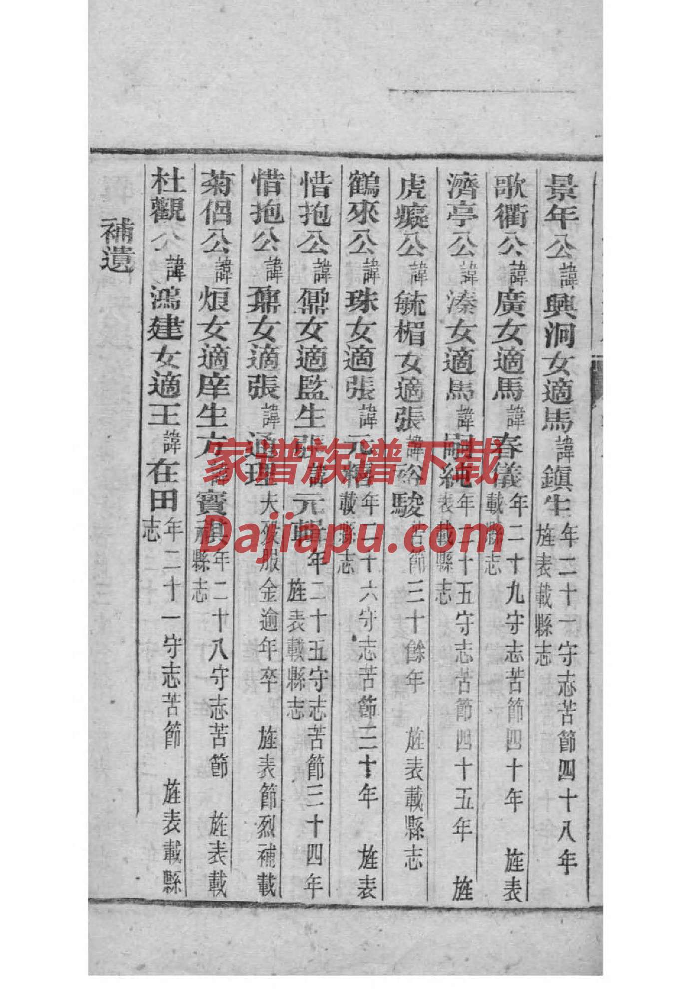 树氏家谱族谱数据库