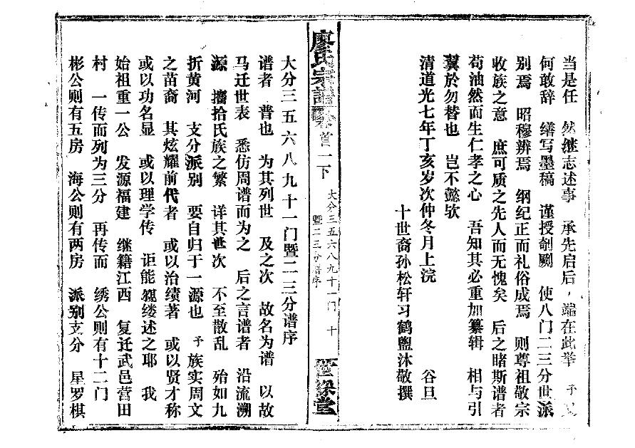 杨氏家谱族