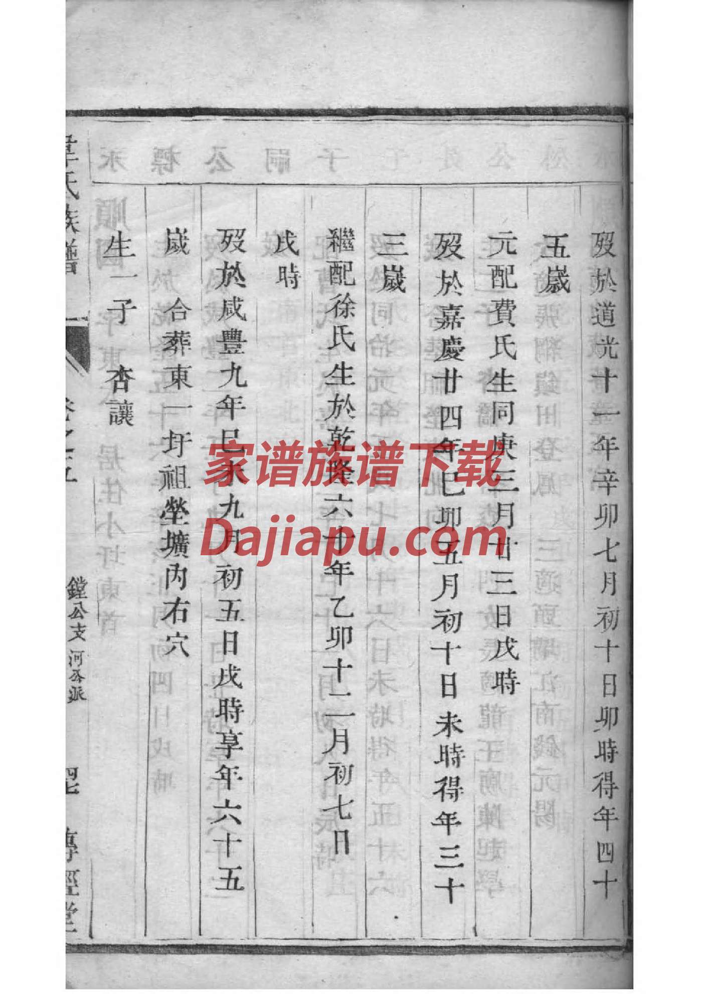 濮氏家谱族谱数据库