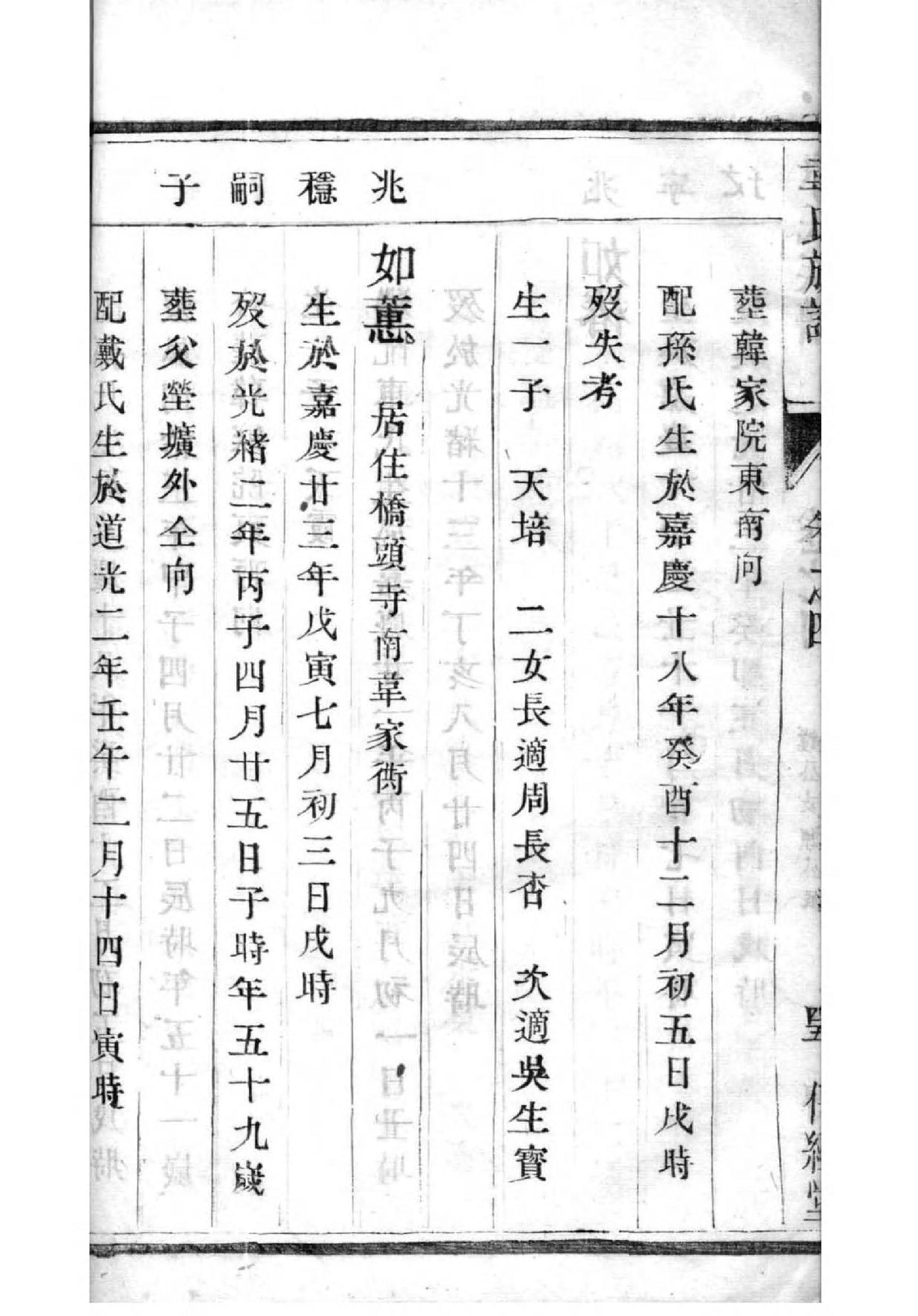 龙姓家谱56个字辈