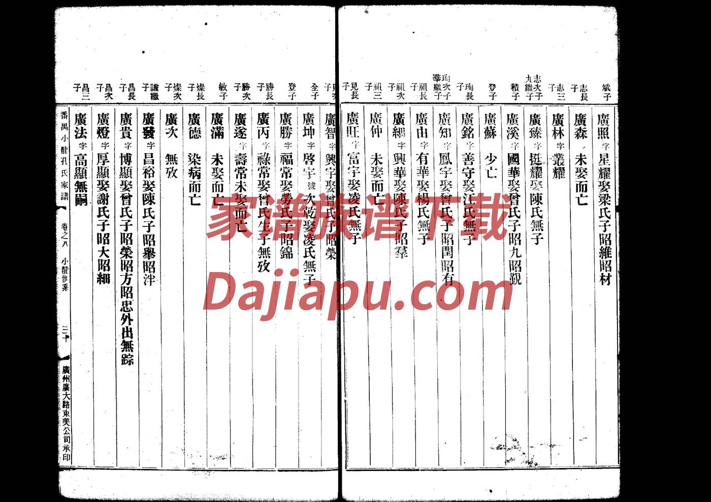 姒氏家谱族谱数据库