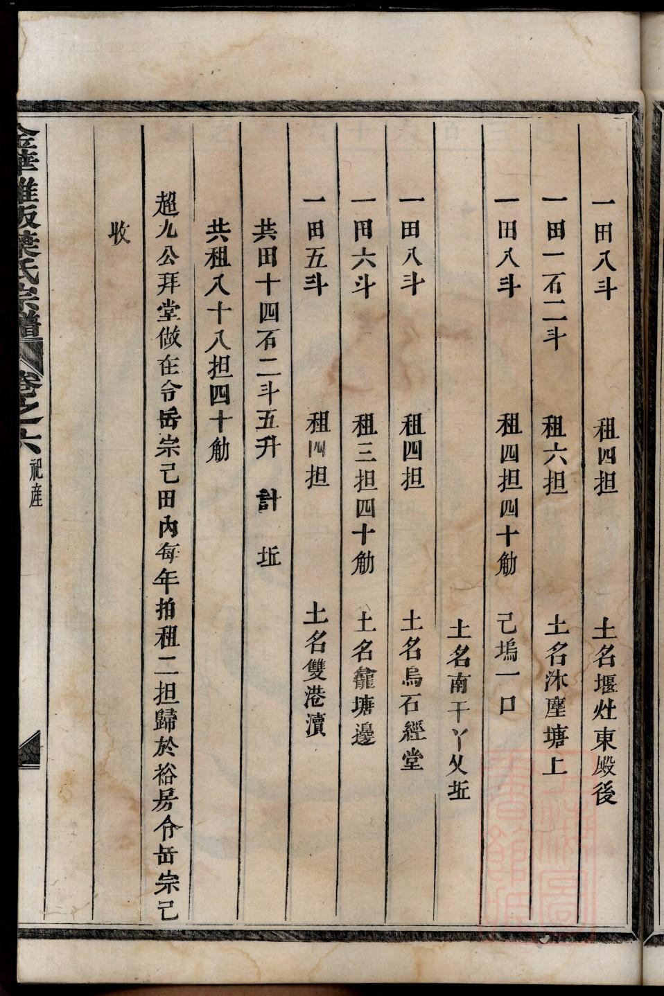 家谱样本图漂亮