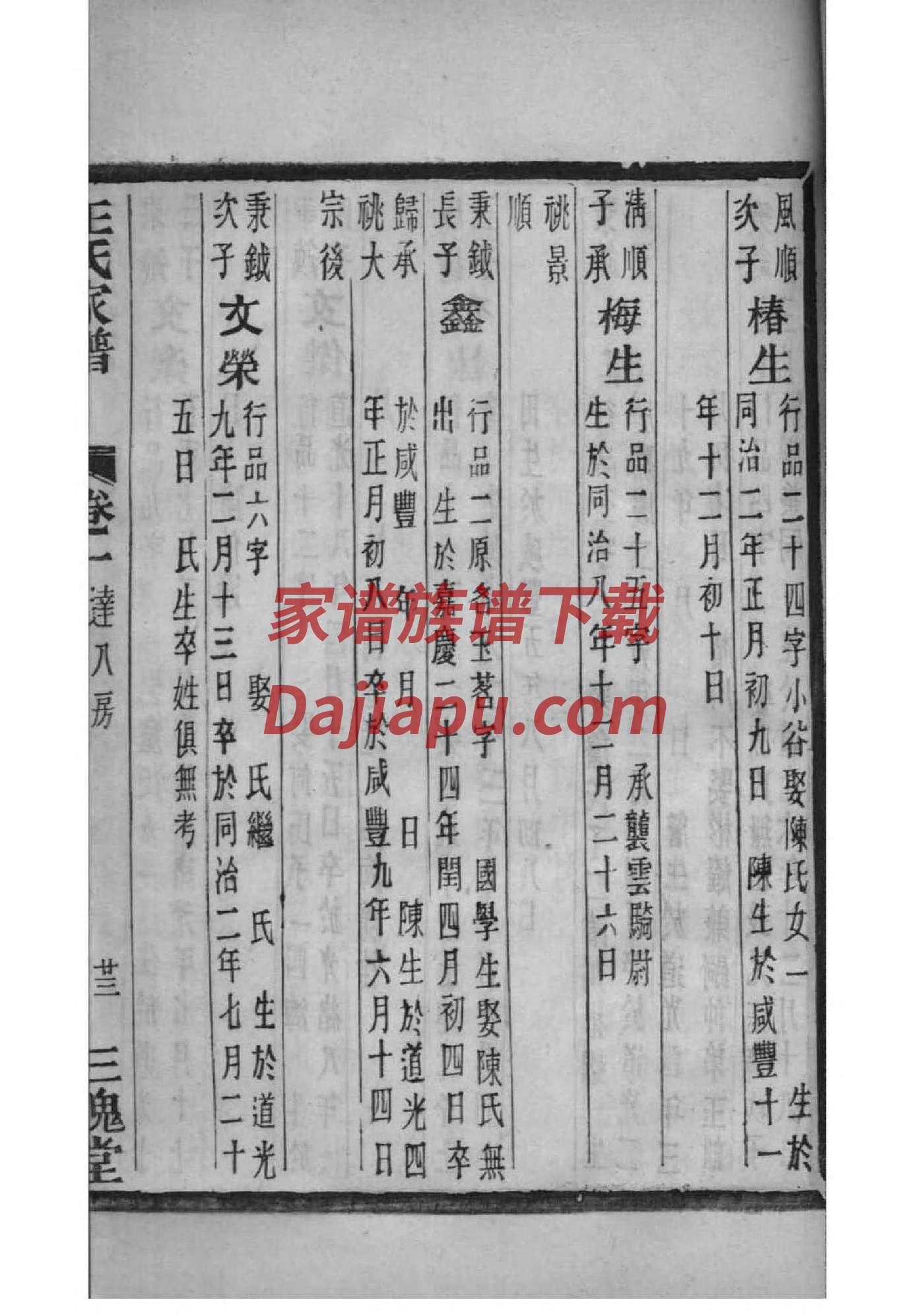 安岳杨氏家谱字辈金芝