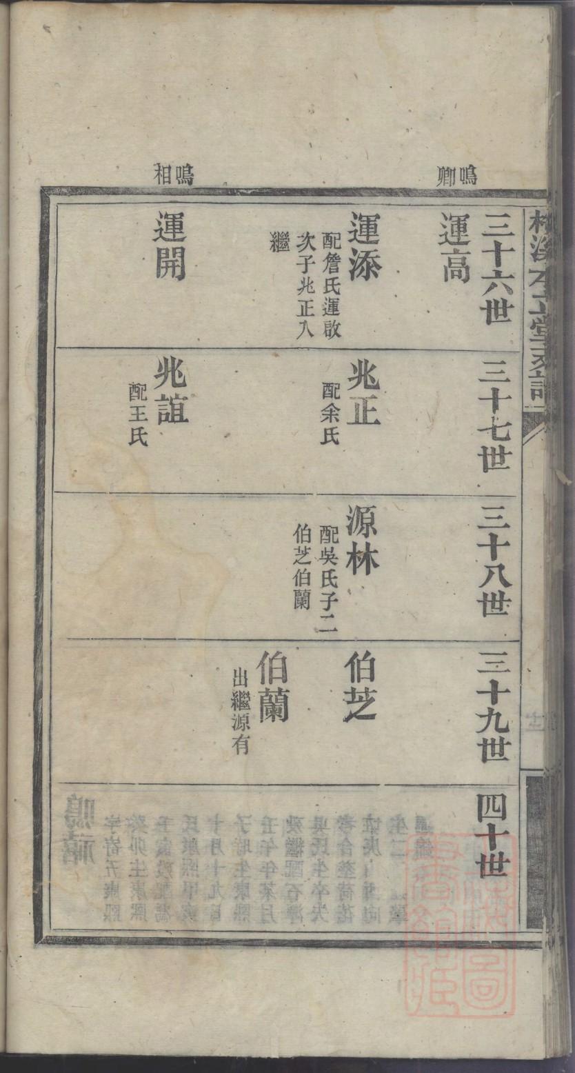 赛氏家谱字辈大全集