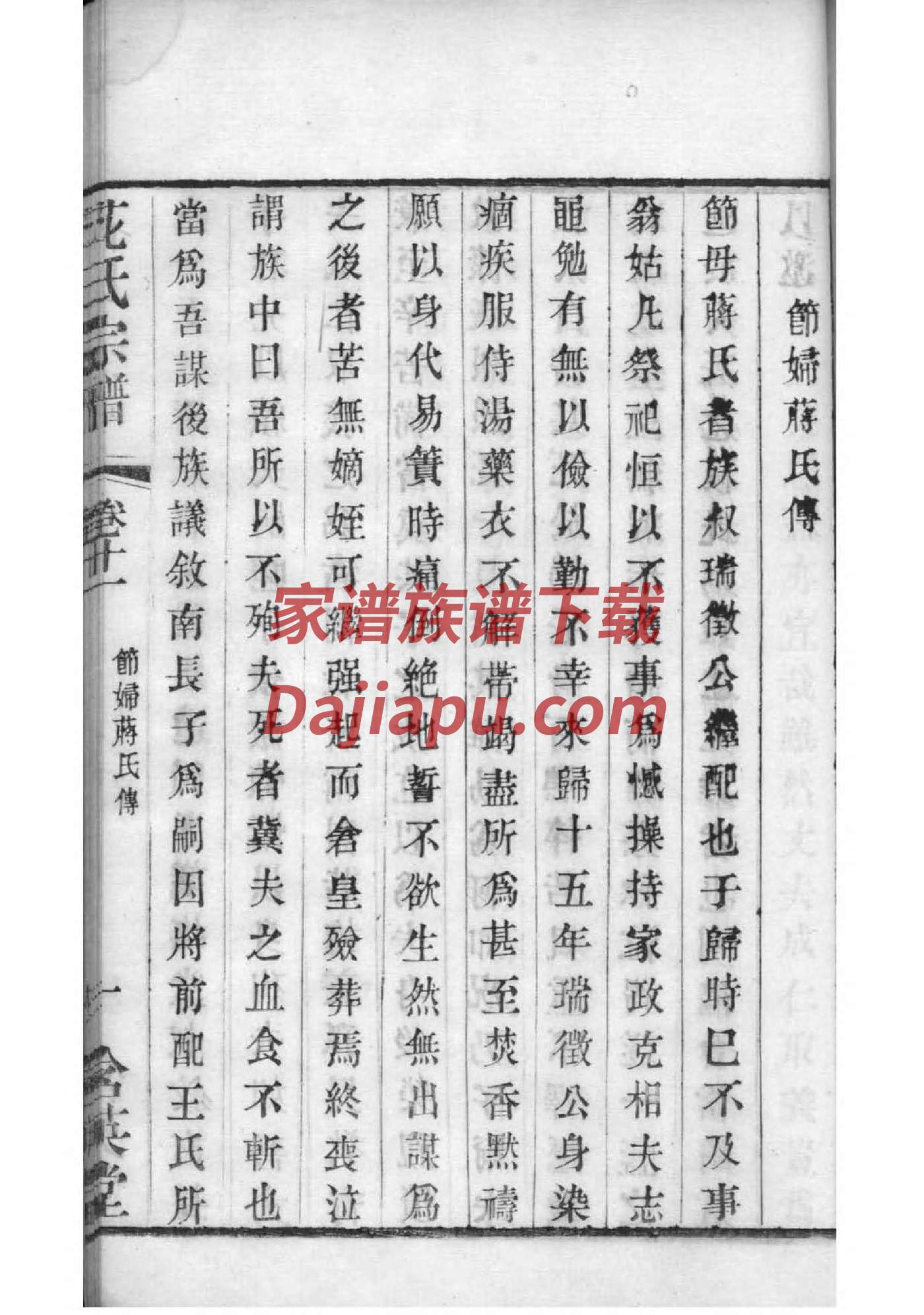 卢姓免费查自己家谱