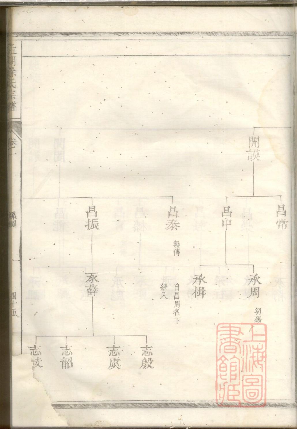 善氏祖先起源哪里