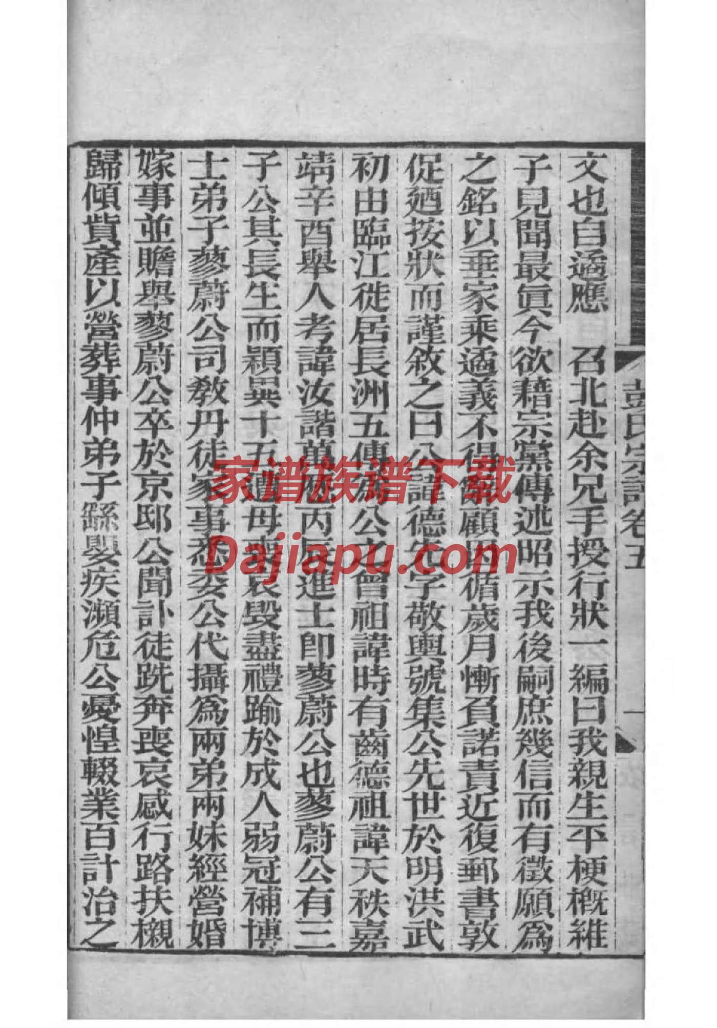 娄家家谱