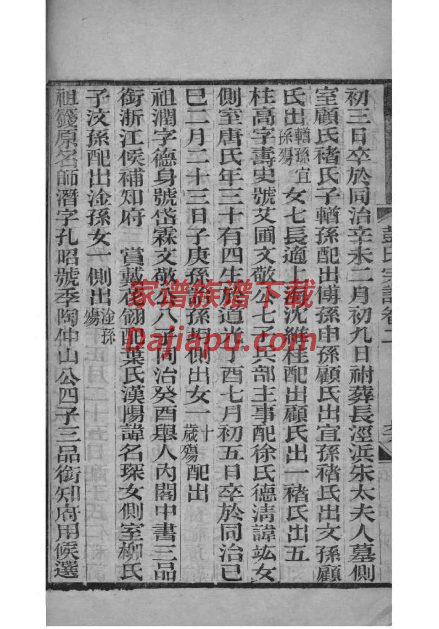 侨氏族谱家谱