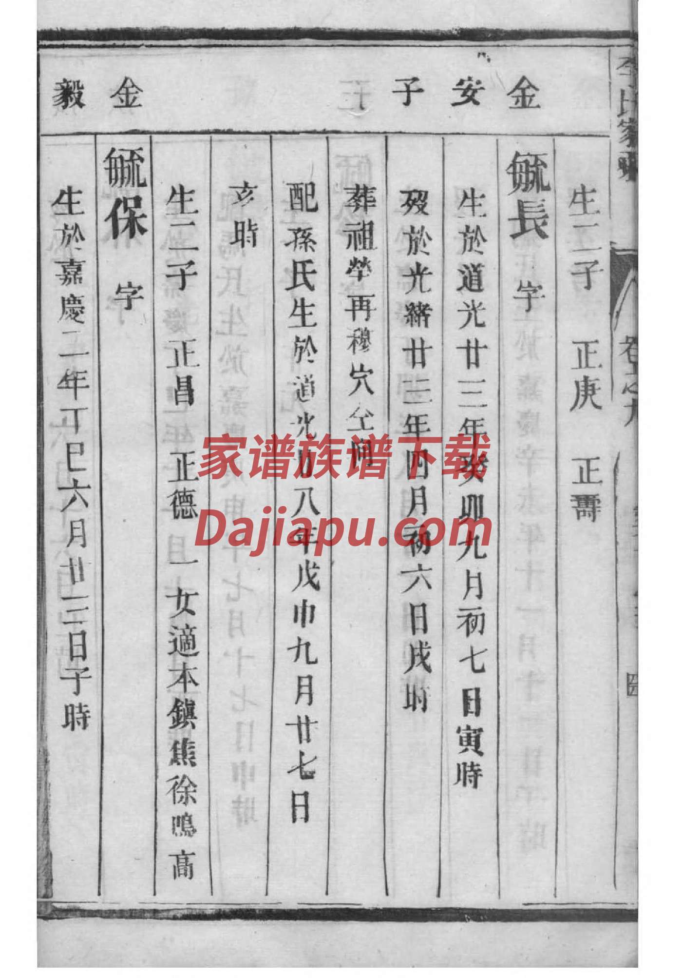 姓张家族家谱