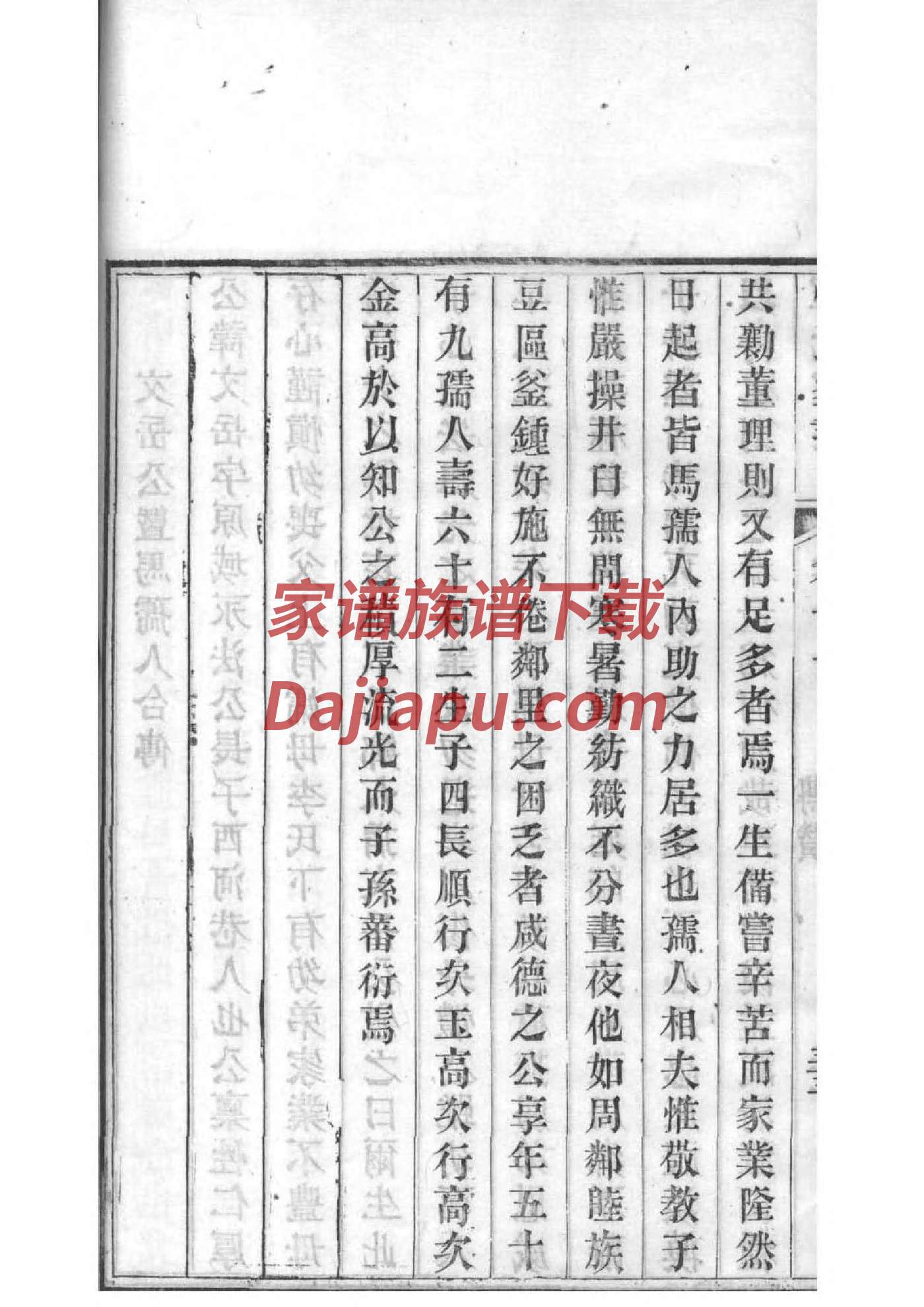家谱王大良