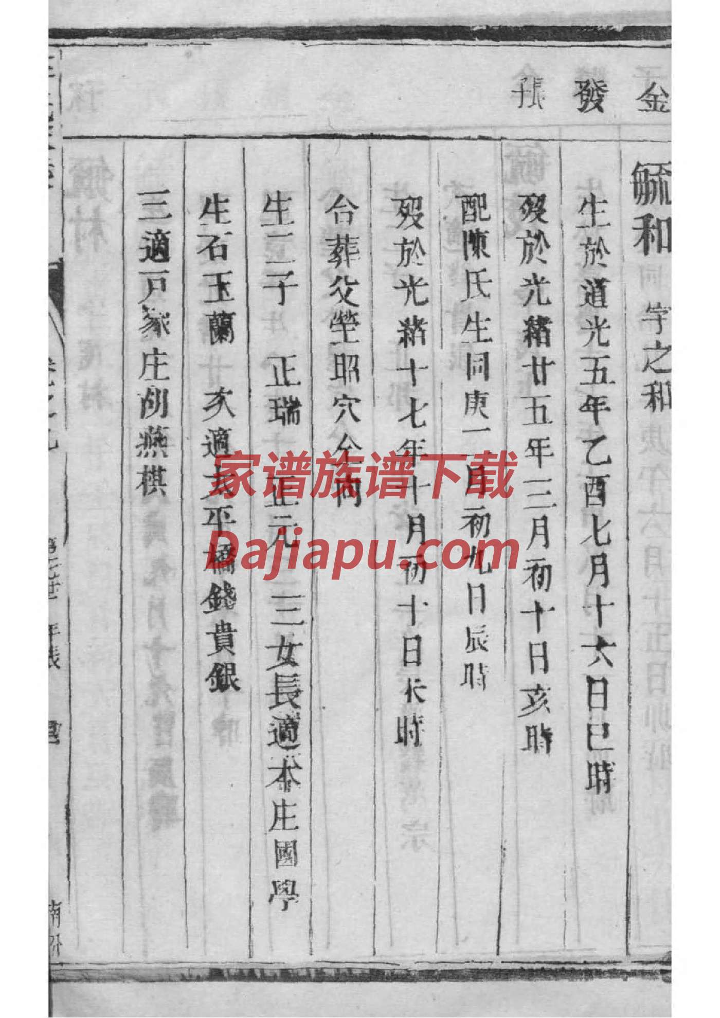老家河南家谱馆