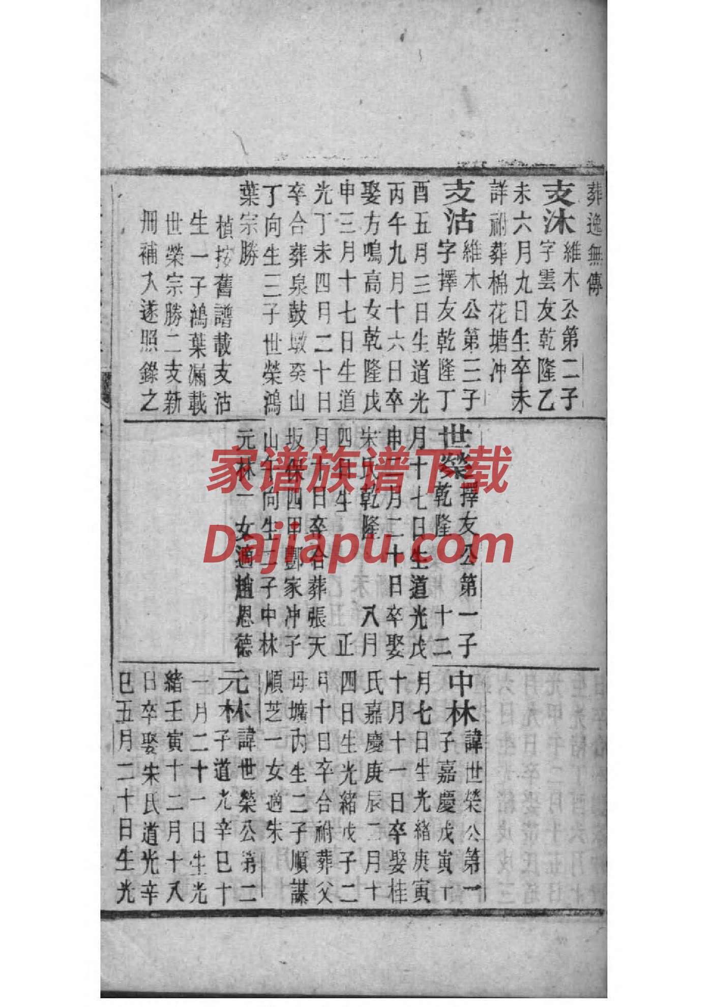 WORD家谱模板