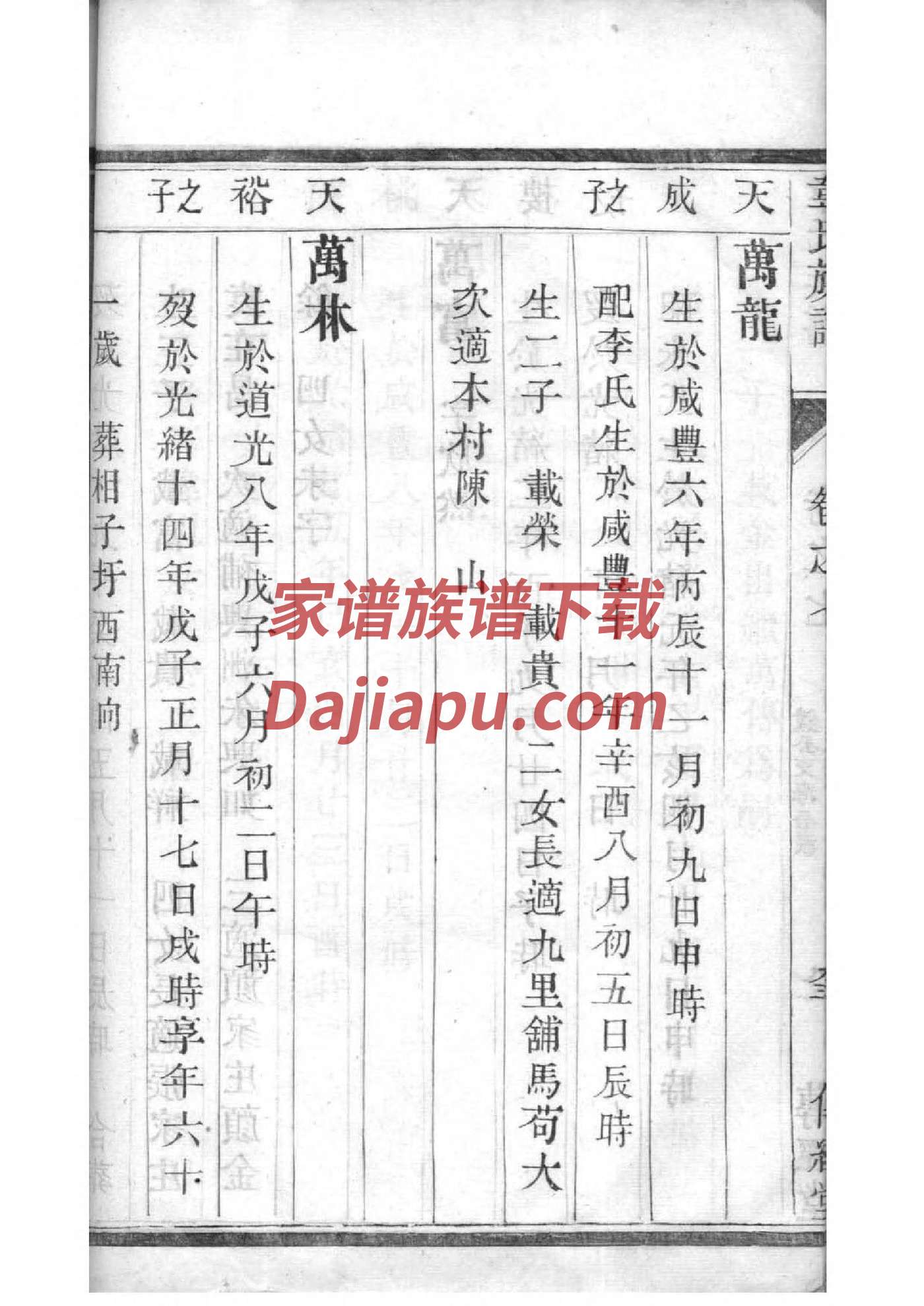 李姓族谱字辈查询全部