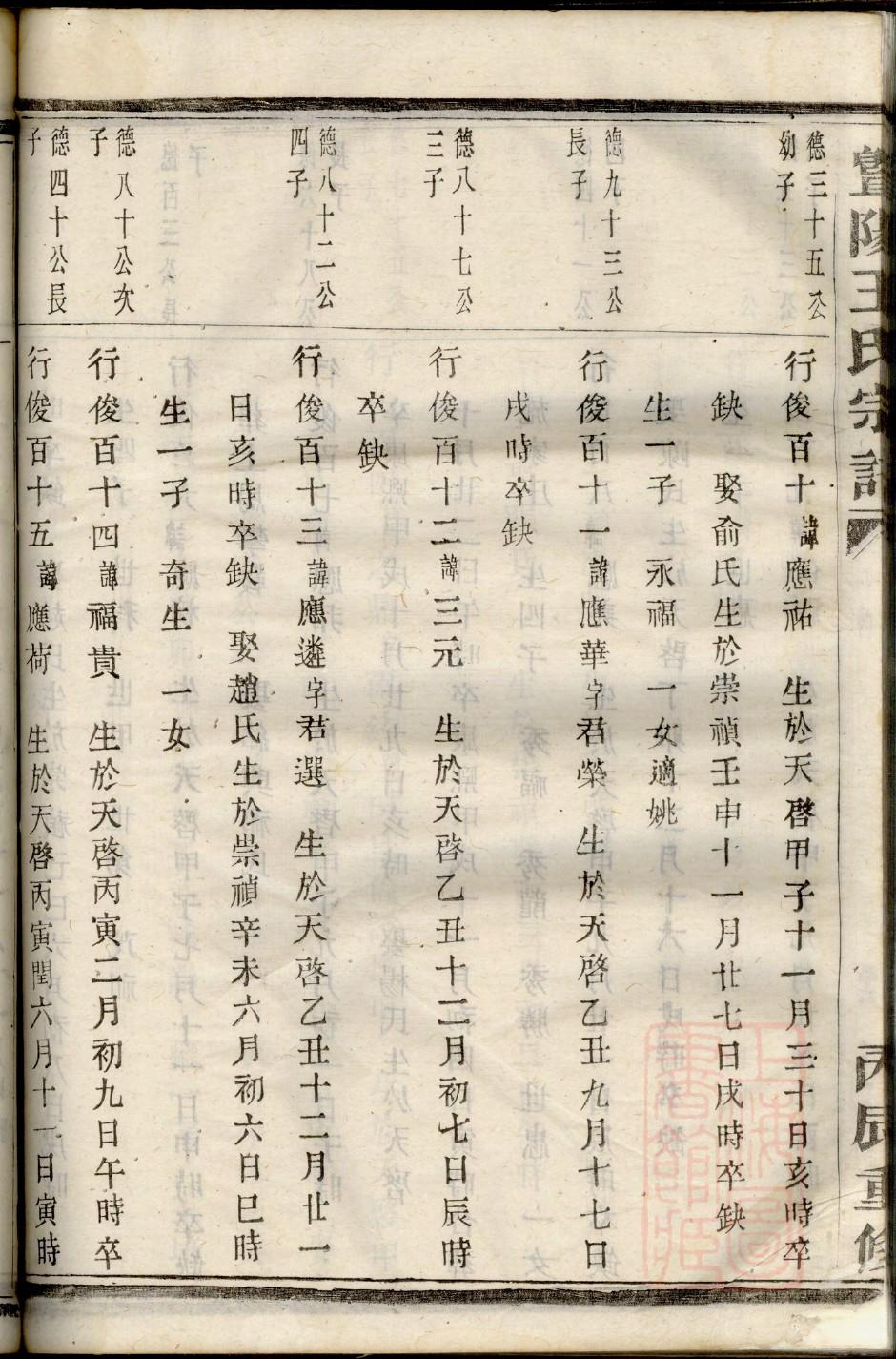 绘制家谱树