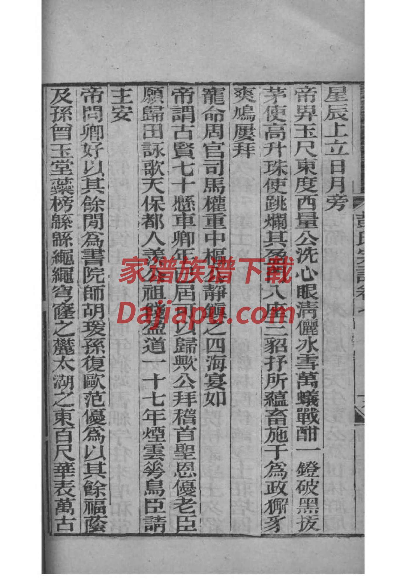 杨家家谱字辈