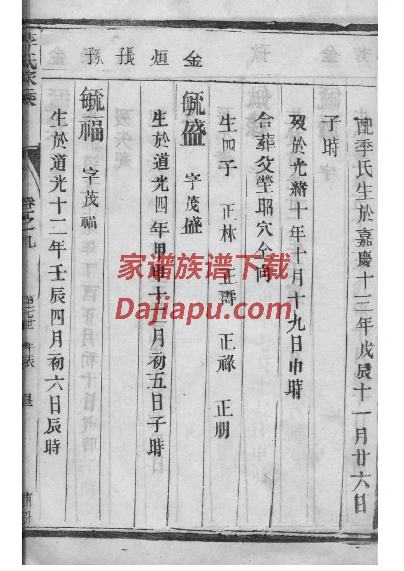 严氏族谱家谱