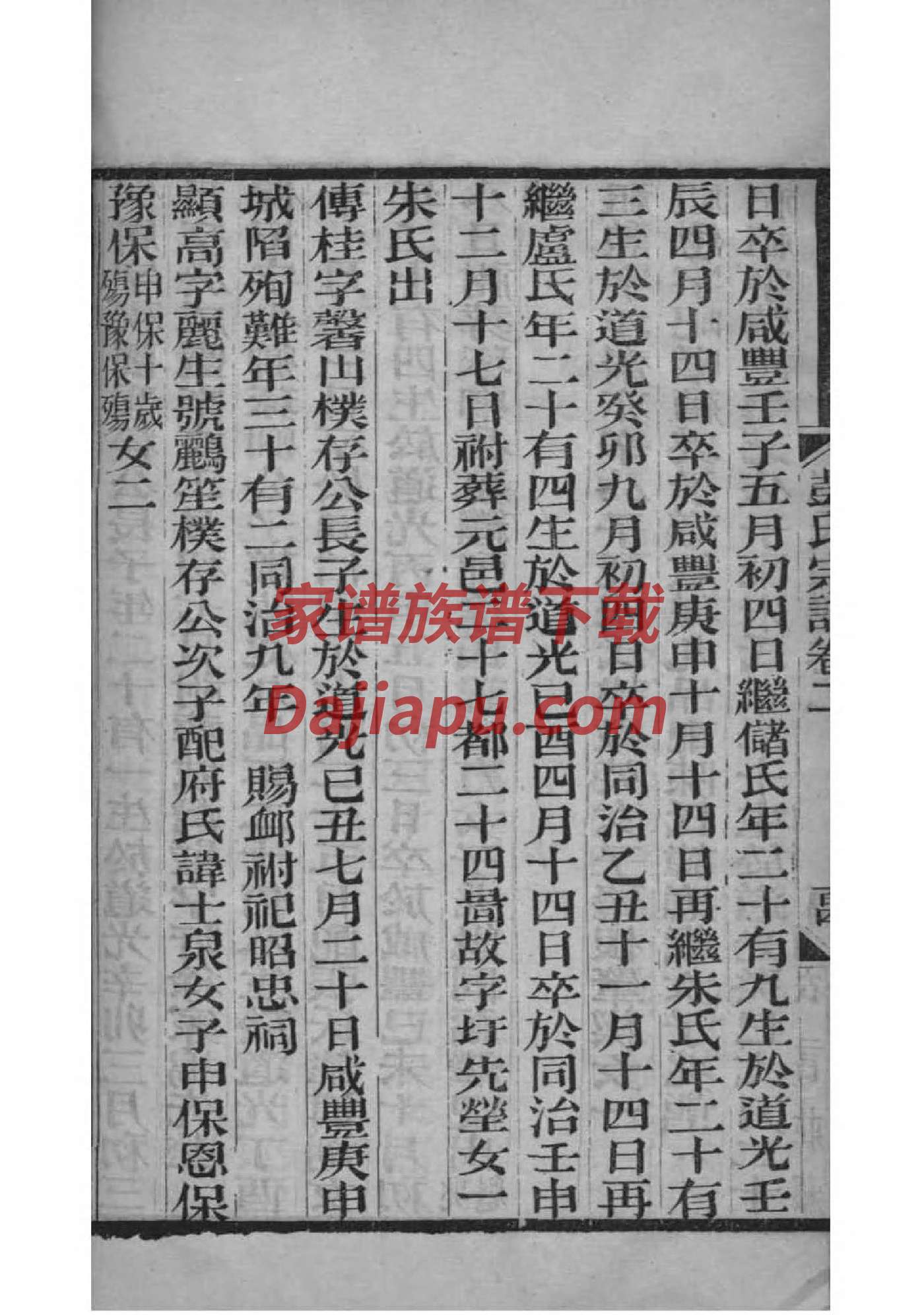 AI软件怎么做家谱