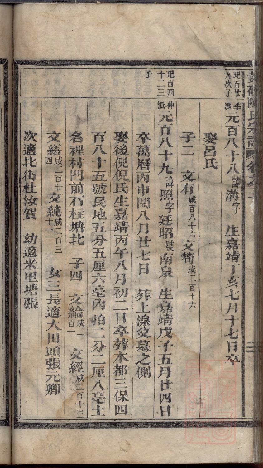 杨氏家谱排名
