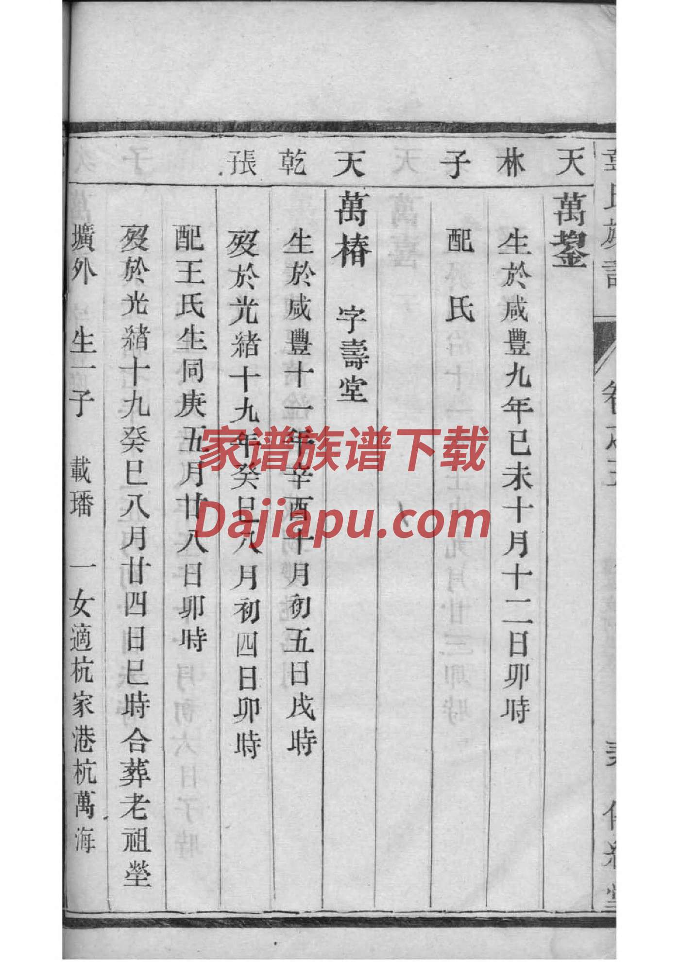 家谱挂画批发零售