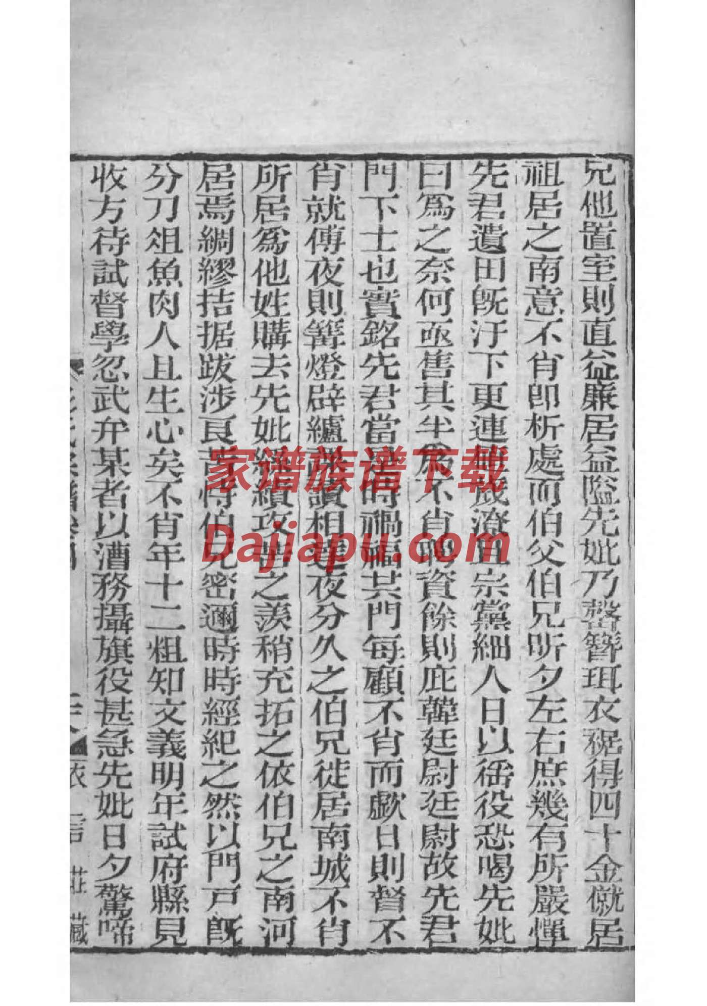 战姓族谱字辈查询全部