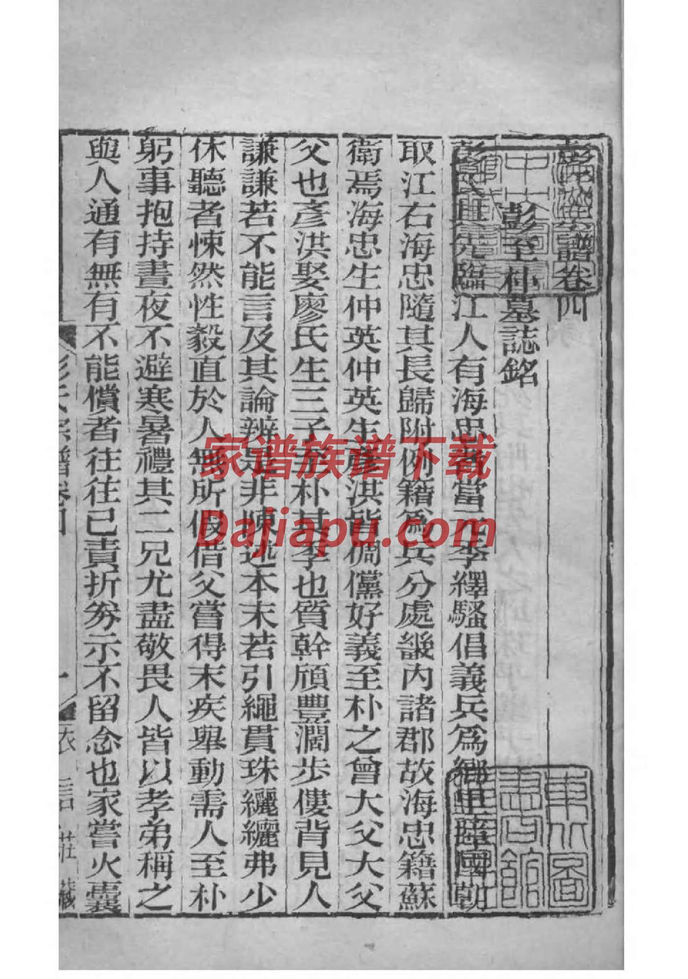 藏氏的起源